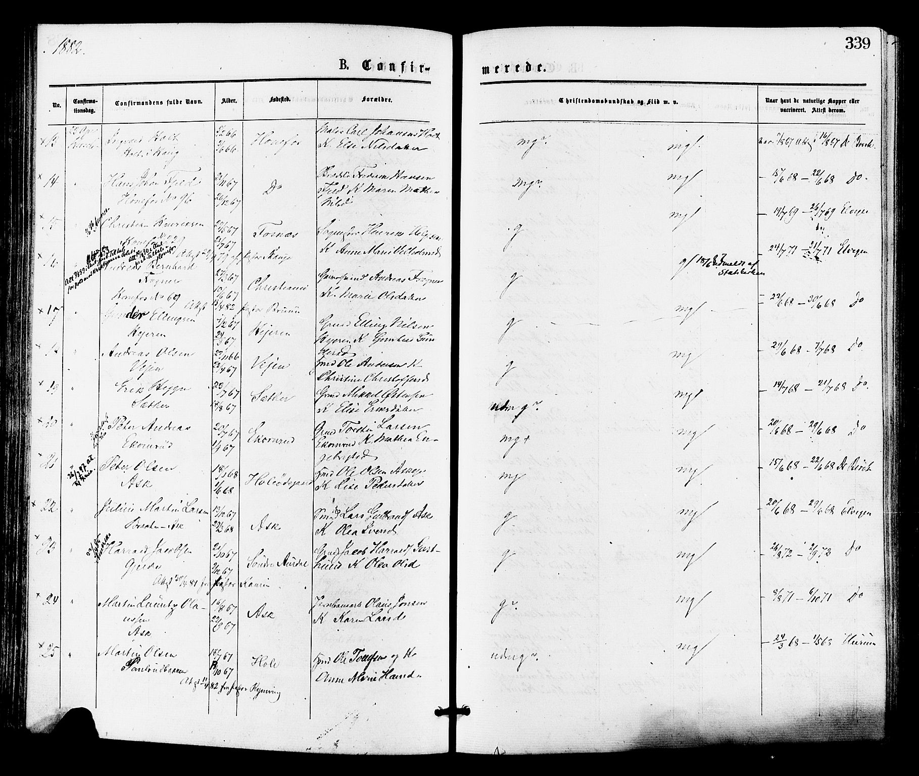 Norderhov kirkebøker, AV/SAKO-A-237/F/Fa/L0015: Parish register (official) no. 15, 1875-1884, p. 339