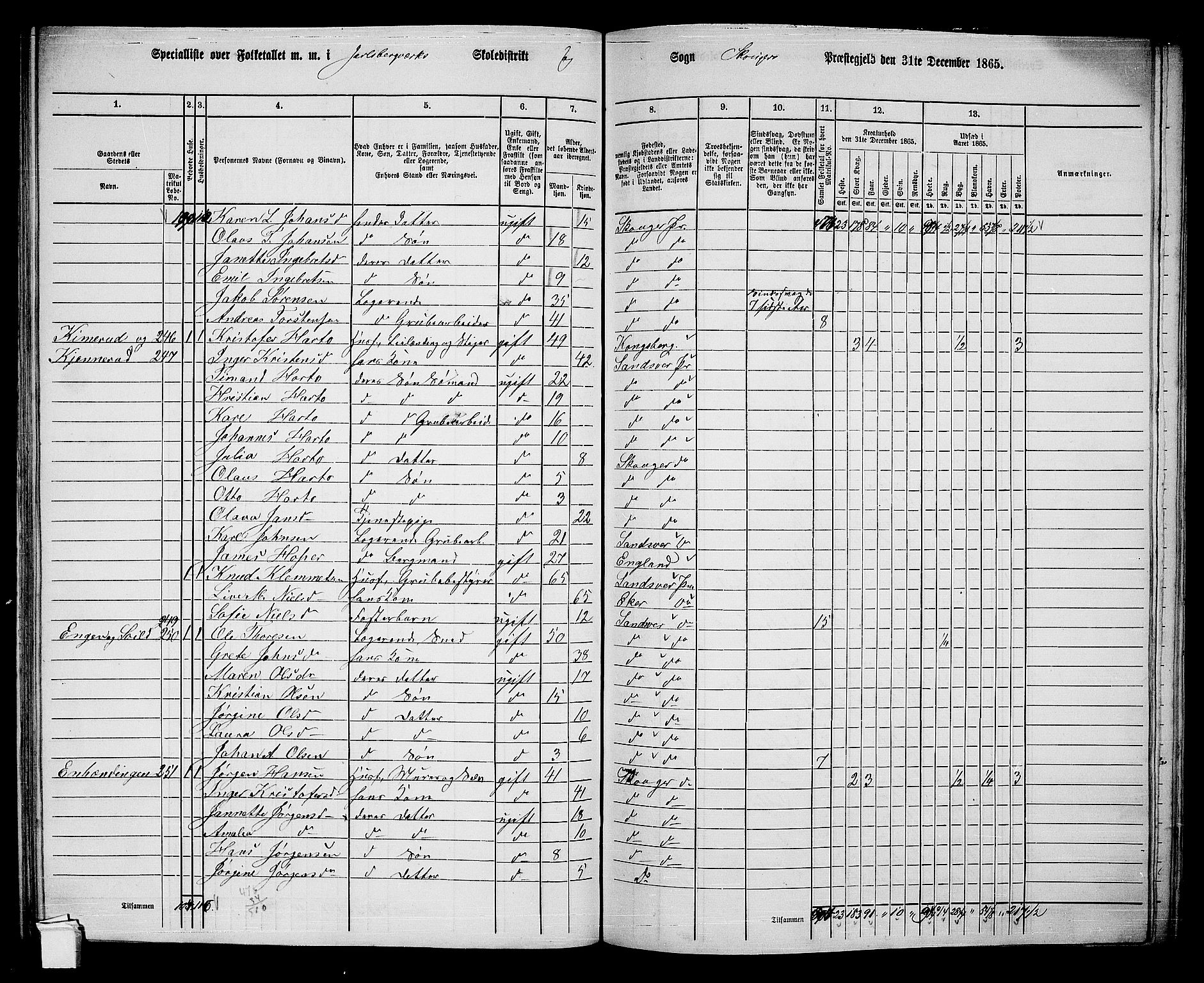 RA, 1865 census for Skoger, 1865, p. 111