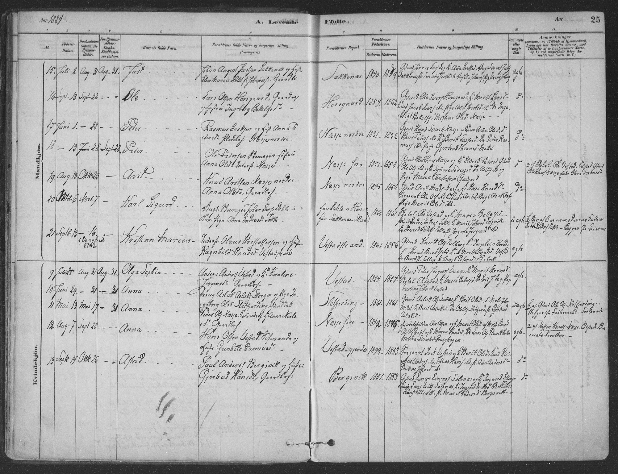 Ministerialprotokoller, klokkerbøker og fødselsregistre - Møre og Romsdal, AV/SAT-A-1454/547/L0604: Parish register (official) no. 547A06, 1878-1906, p. 25