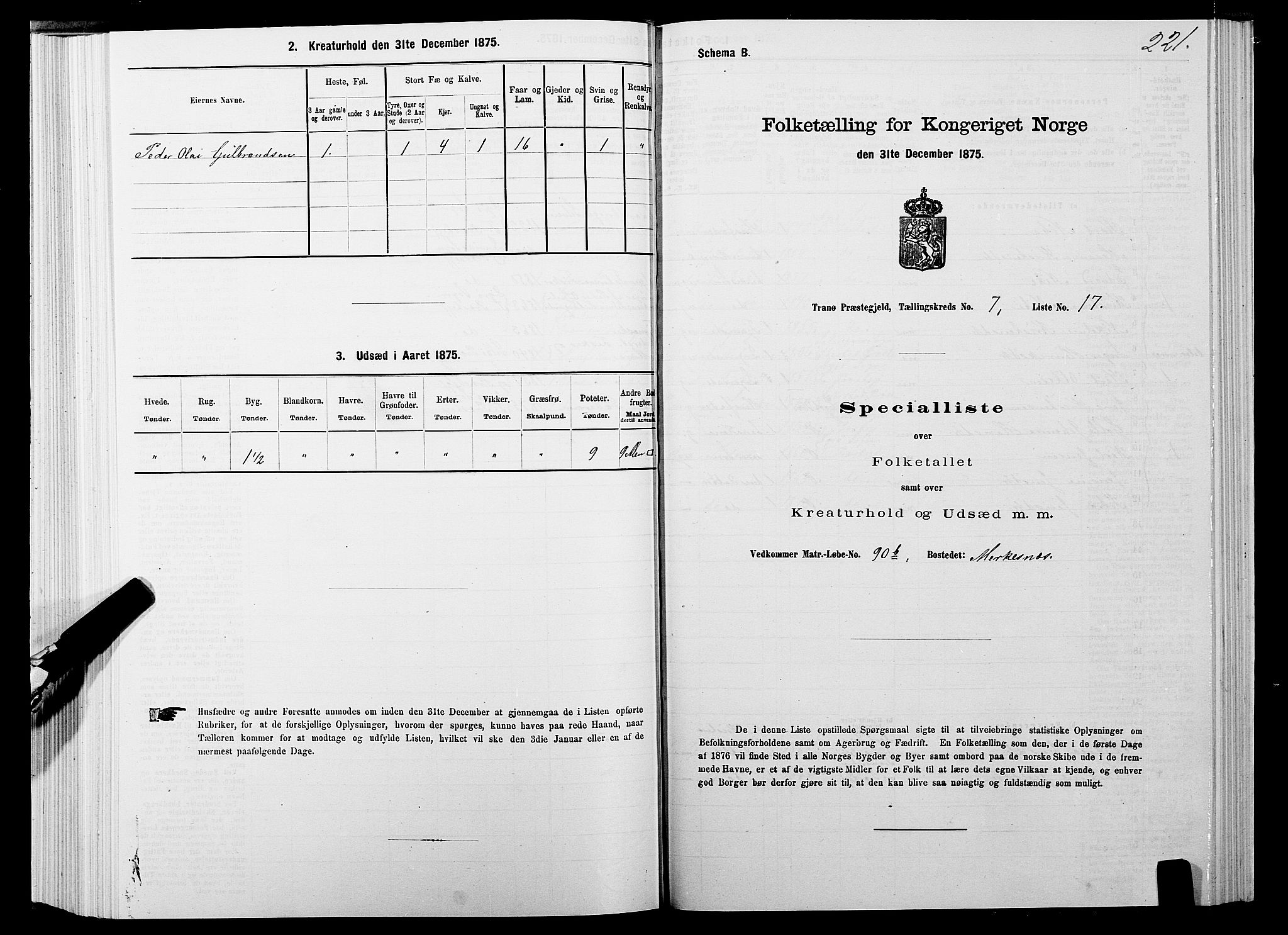 SATØ, 1875 census for 1927P Tranøy, 1875, p. 3221