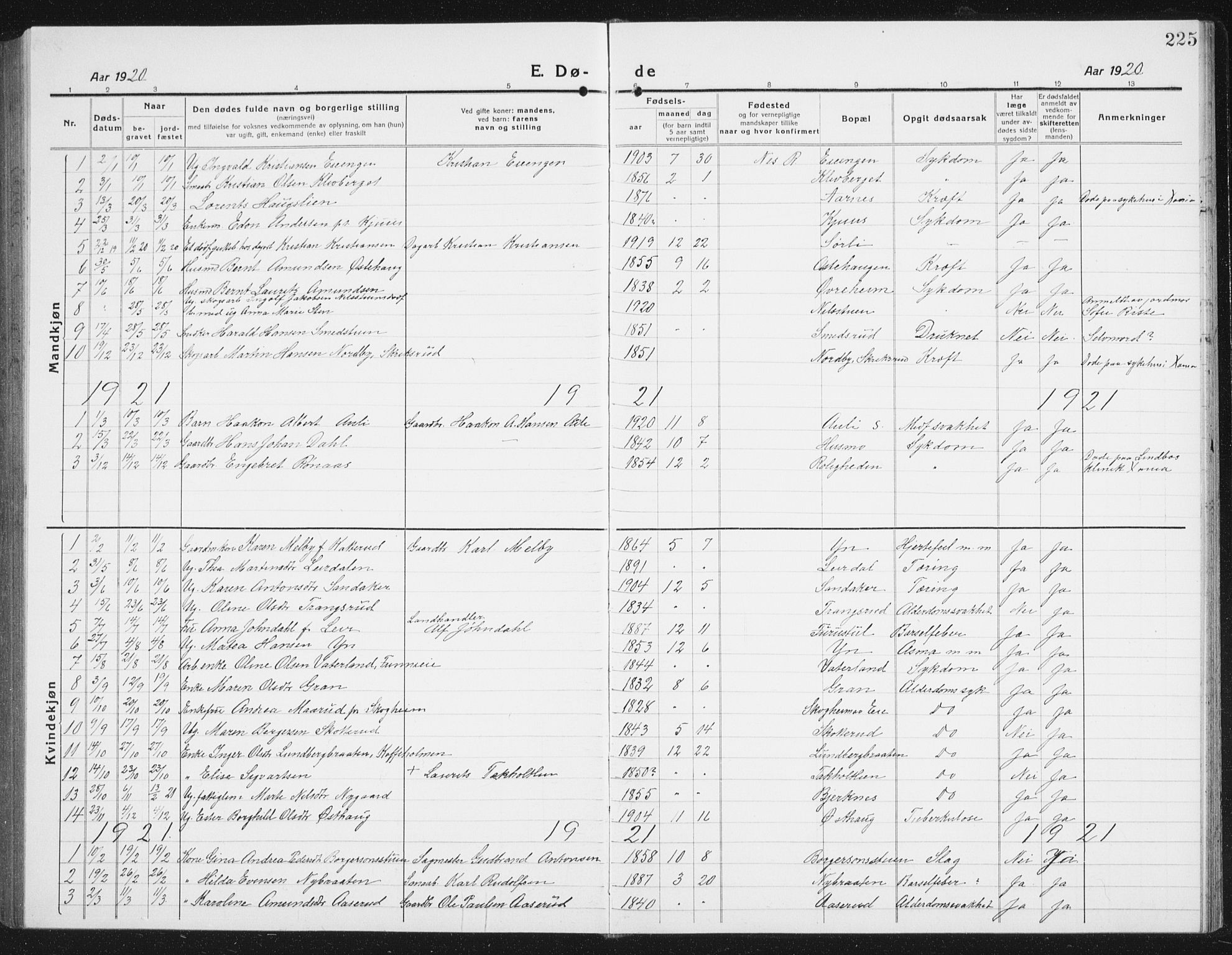 Nes prestekontor Kirkebøker, SAO/A-10410/G/Gc/L0002: Parish register (copy) no. III 2, 1915-1943, p. 225