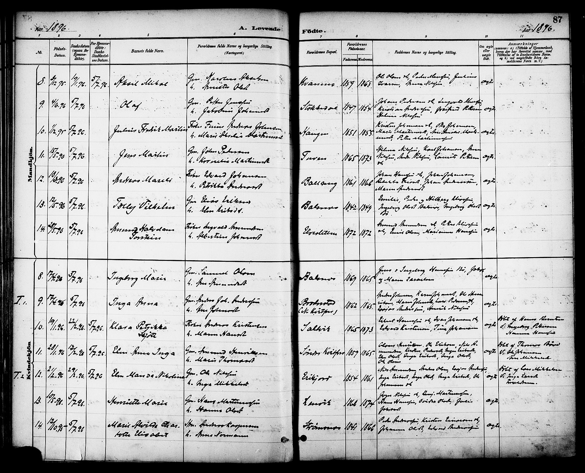 Ministerialprotokoller, klokkerbøker og fødselsregistre - Nordland, SAT/A-1459/863/L0898: Parish register (official) no. 863A10, 1886-1897, p. 87