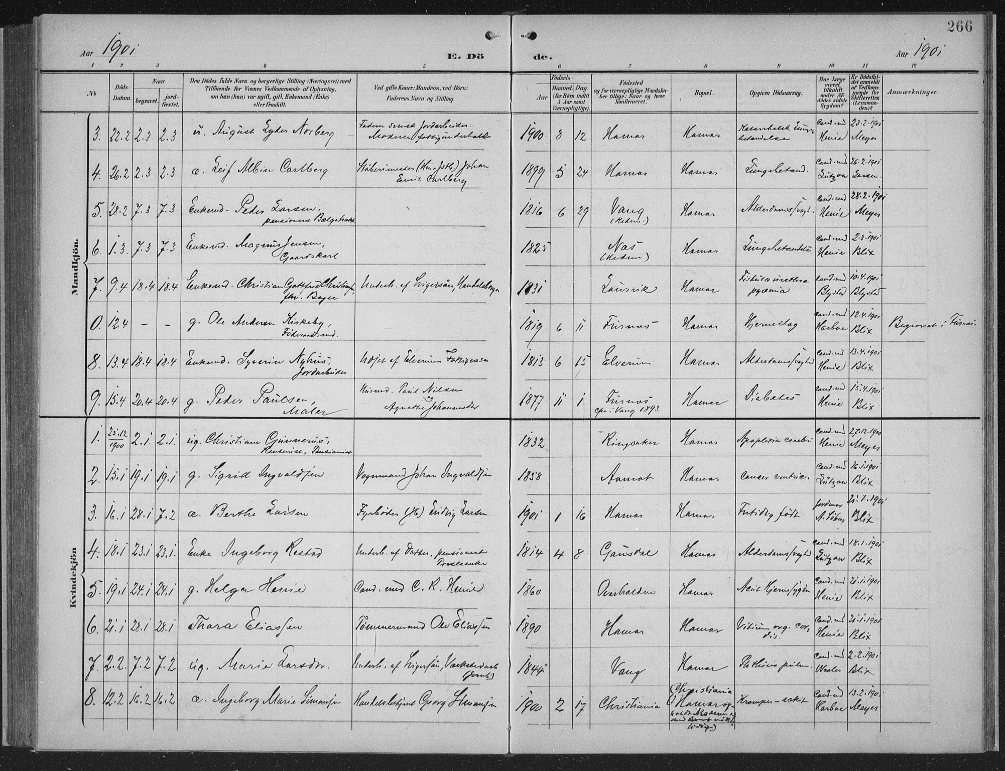 Hamar prestekontor, AV/SAH-DOMPH-002/H/Ha/Haa/L0001: Parish register (official) no. 1, 1900-1914, p. 266