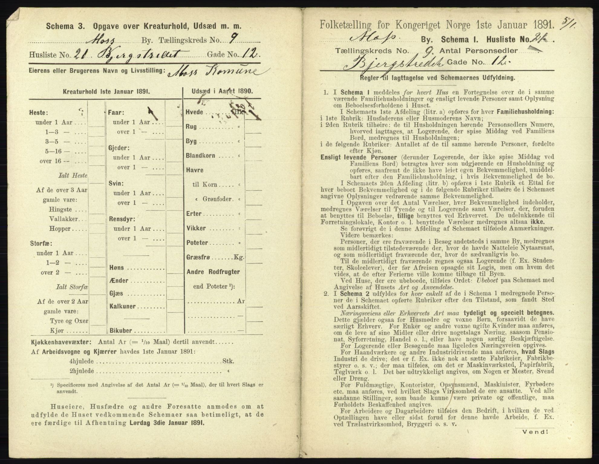 RA, 1891 census for 0104 Moss, 1891, p. 682