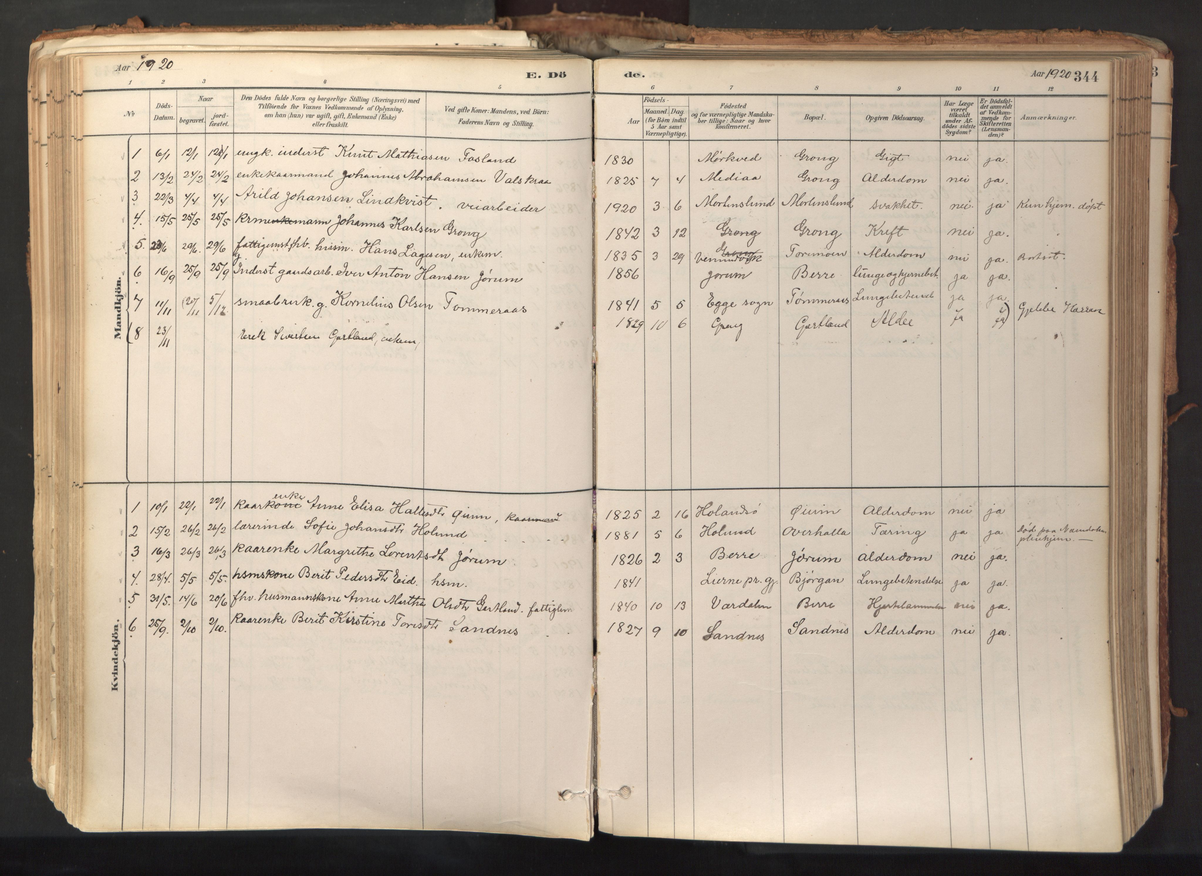 Ministerialprotokoller, klokkerbøker og fødselsregistre - Nord-Trøndelag, SAT/A-1458/758/L0519: Parish register (official) no. 758A04, 1880-1926, p. 344