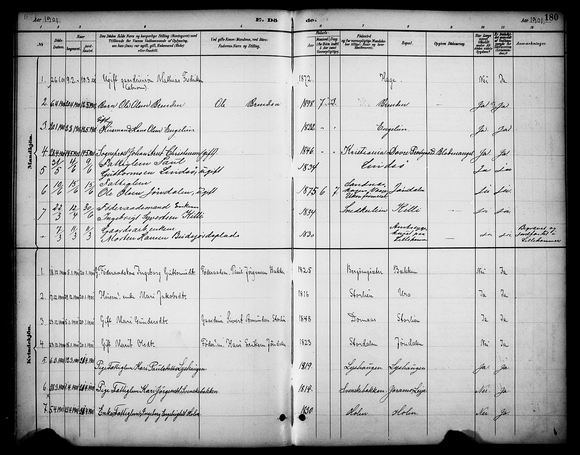Dovre prestekontor, SAH/PREST-066/H/Ha/Haa/L0003: Parish register (official) no. 3, 1891-1901, p. 180