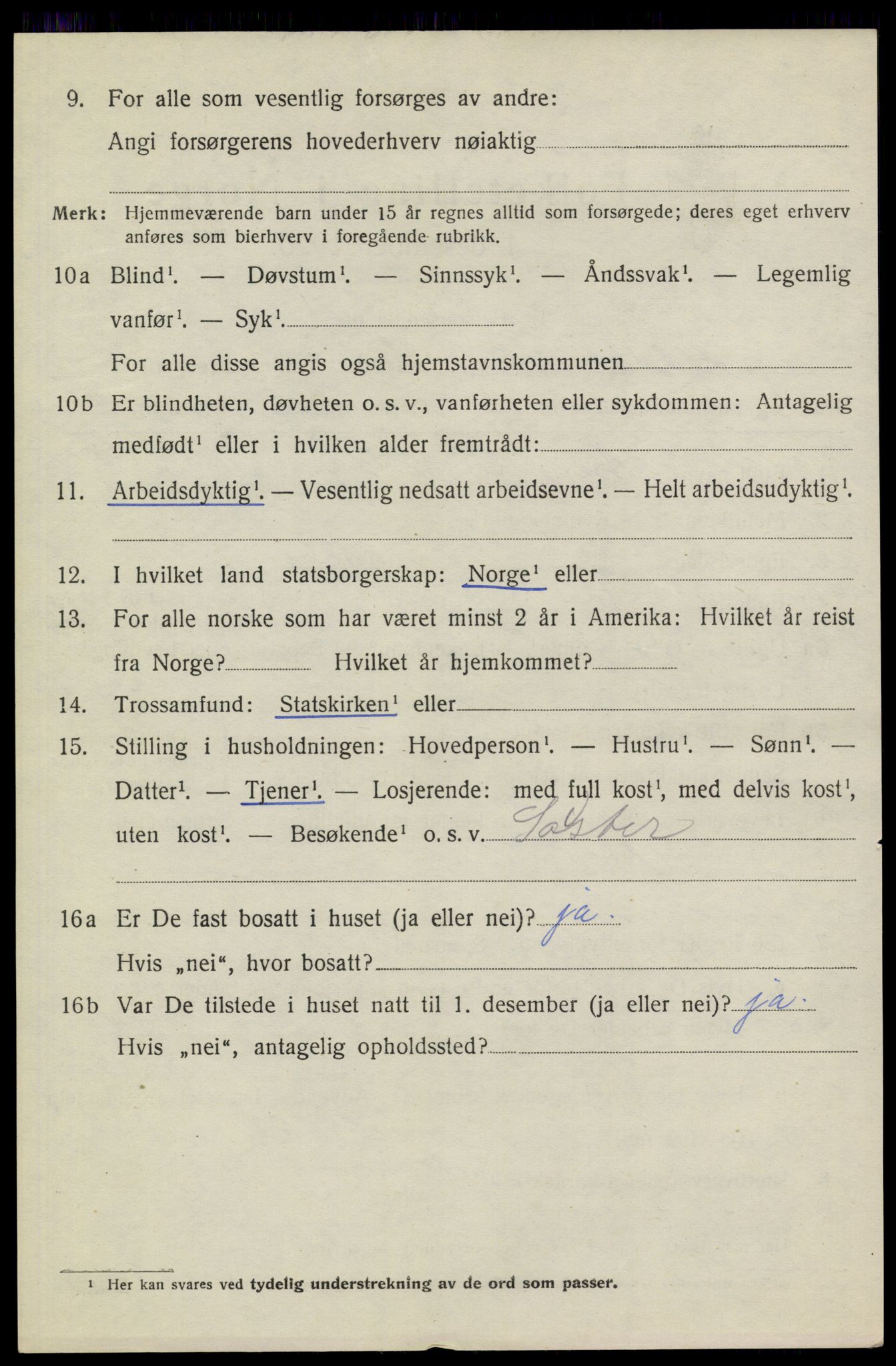 SAKO, 1920 census for Heddal, 1920, p. 4941