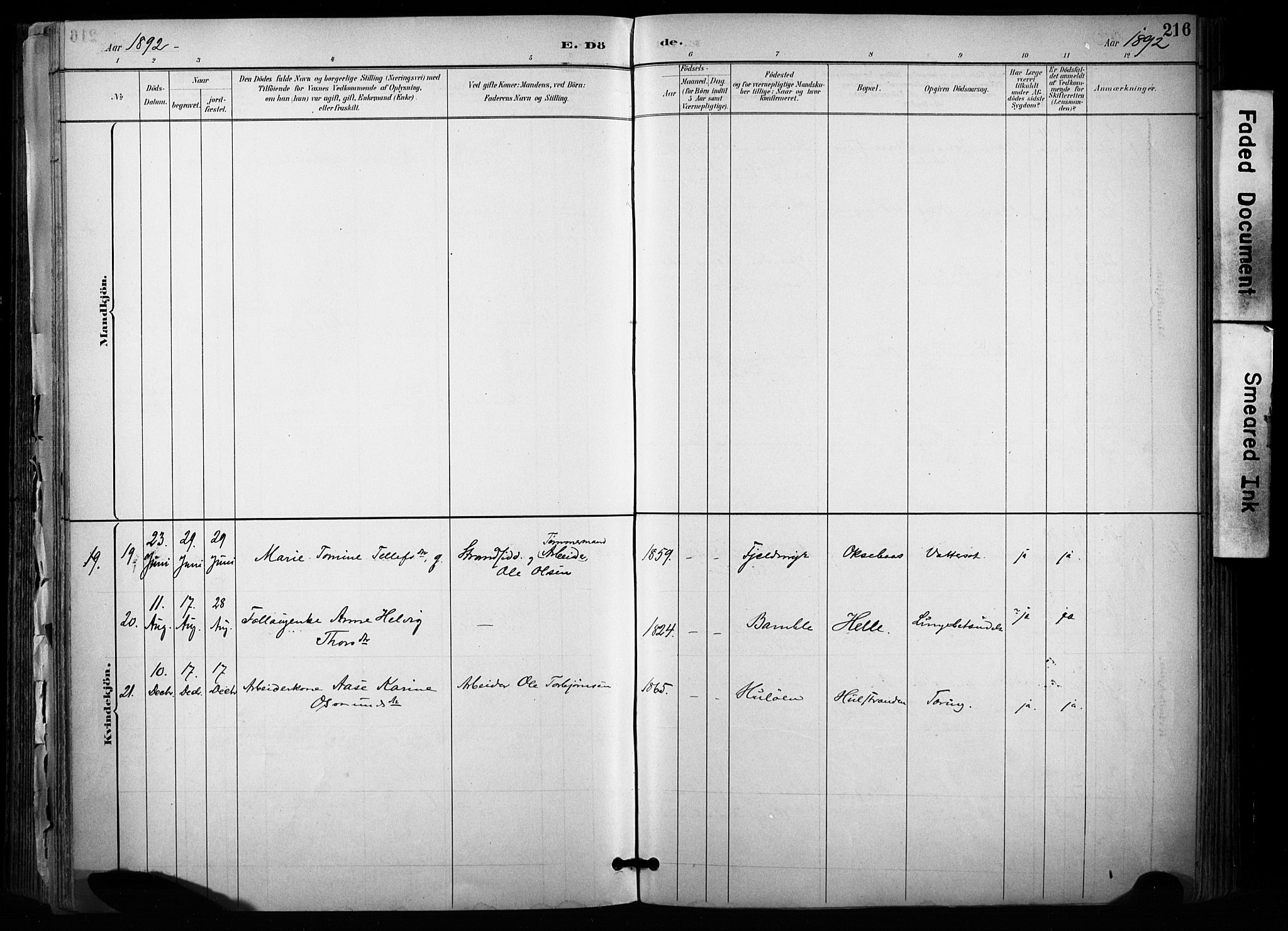 Sannidal kirkebøker, SAKO/A-296/F/Fa/L0015: Parish register (official) no. 15, 1884-1899, p. 216