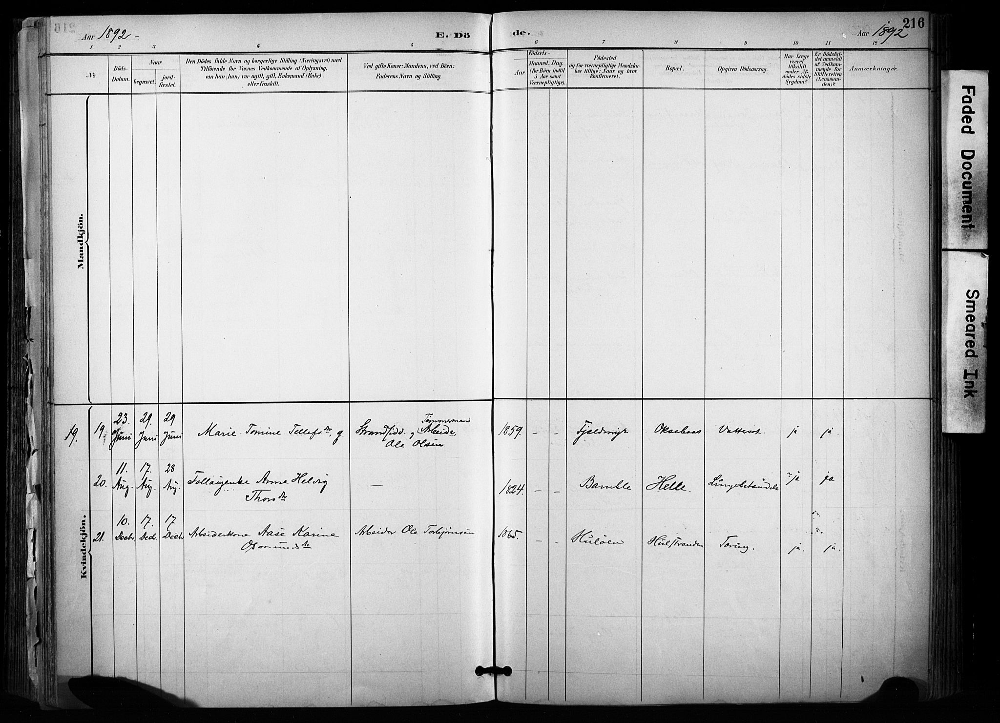 Sannidal kirkebøker, AV/SAKO-A-296/F/Fa/L0015: Parish register (official) no. 15, 1884-1899, p. 216