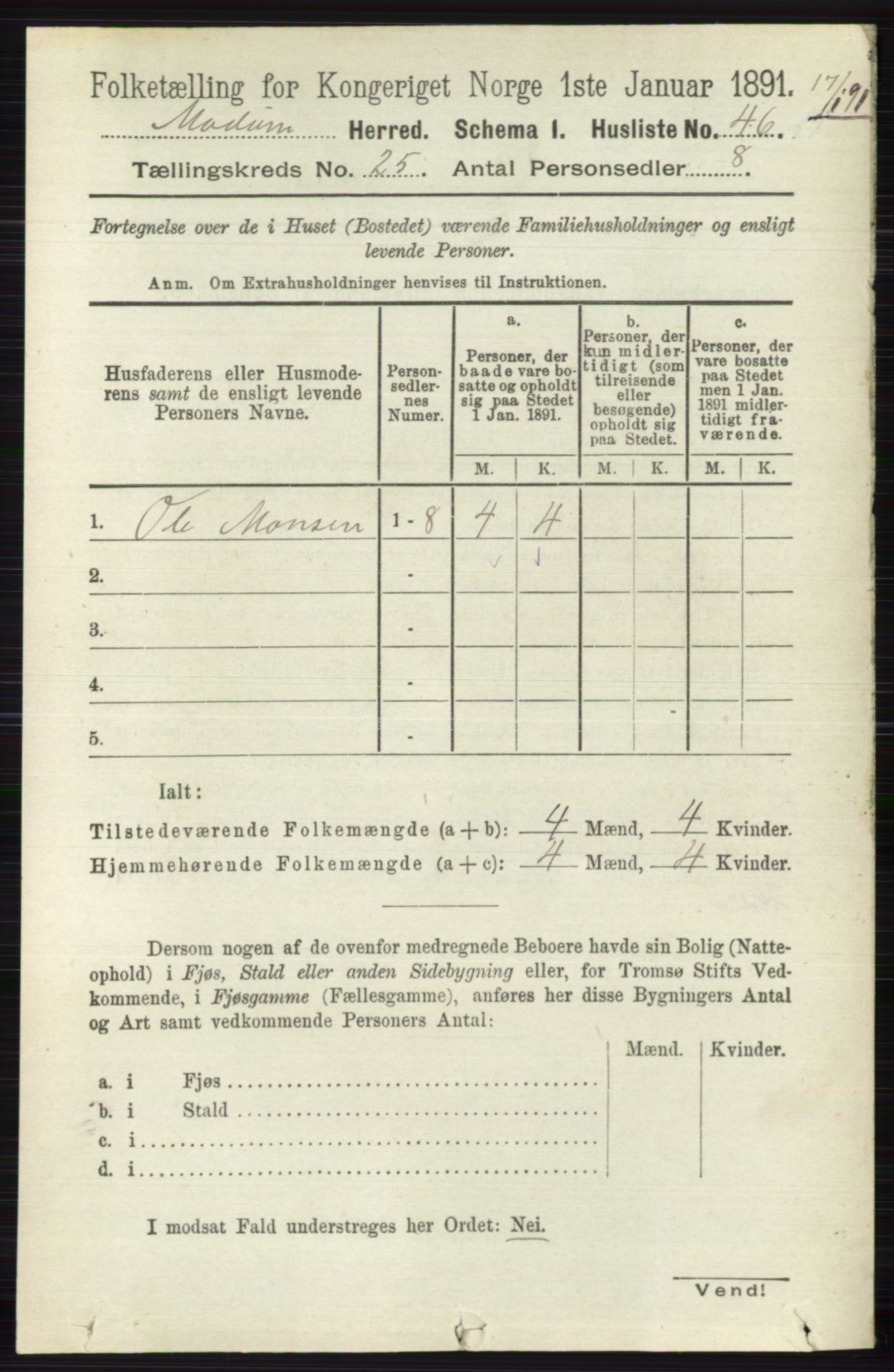 RA, 1891 census for 0623 Modum, 1891, p. 9041