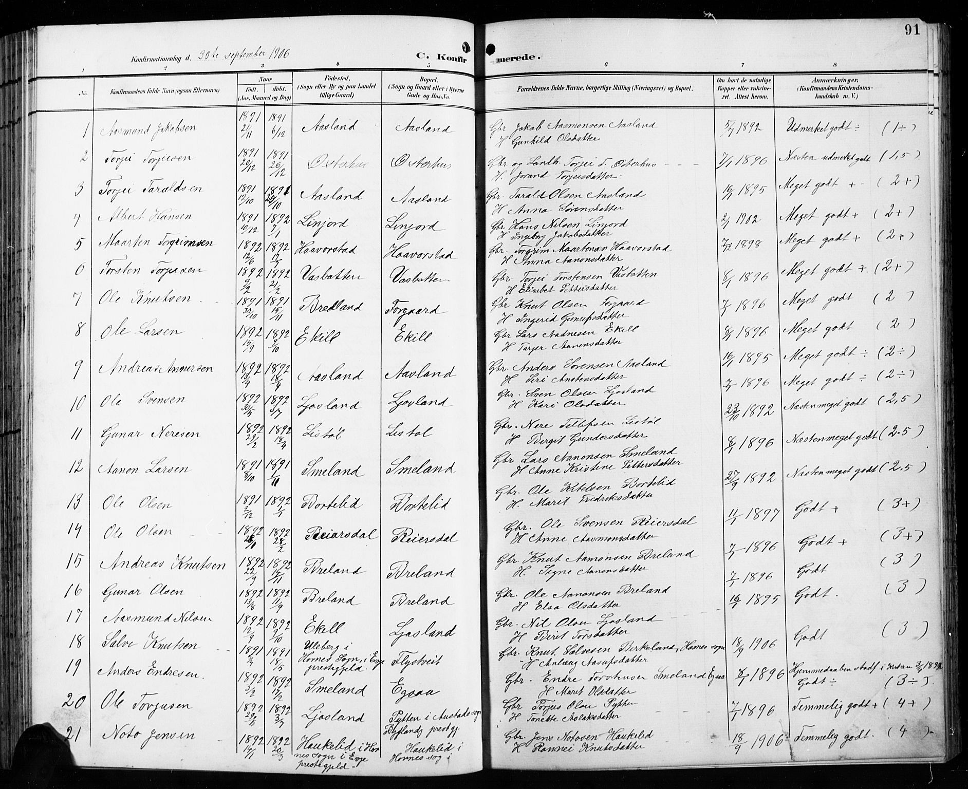 Åseral sokneprestkontor, SAK/1111-0051/F/Fb/L0003: Parish register (copy) no. B 3, 1900-1919, p. 91