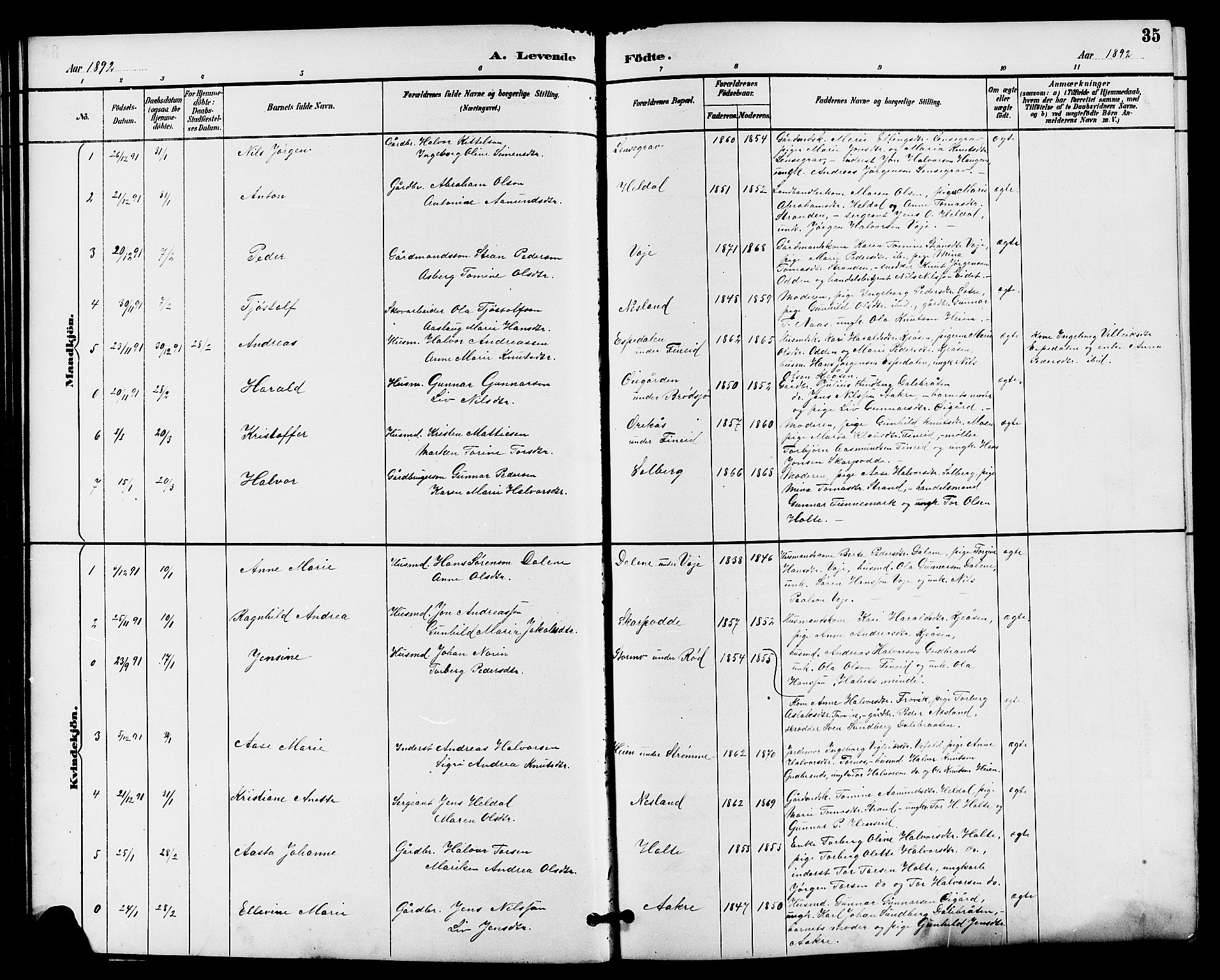 Drangedal kirkebøker, AV/SAKO-A-258/G/Ga/L0003: Parish register (copy) no. I 3, 1887-1906, p. 35