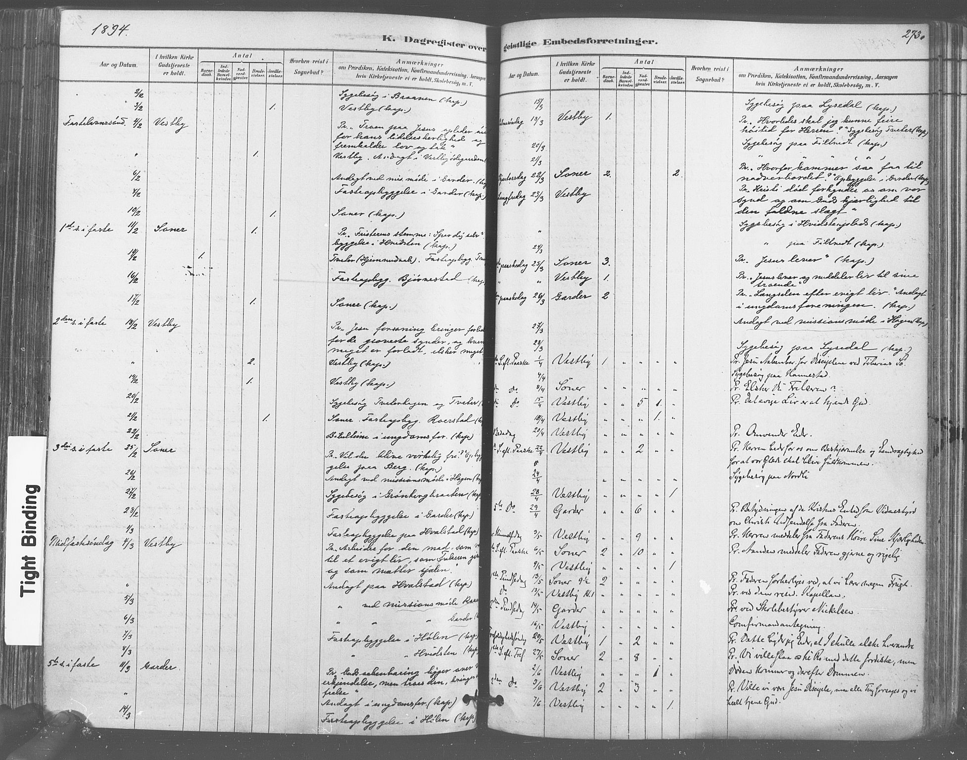 Vestby prestekontor Kirkebøker, AV/SAO-A-10893/F/Fa/L0009: Parish register (official) no. I 9, 1878-1900, p. 273