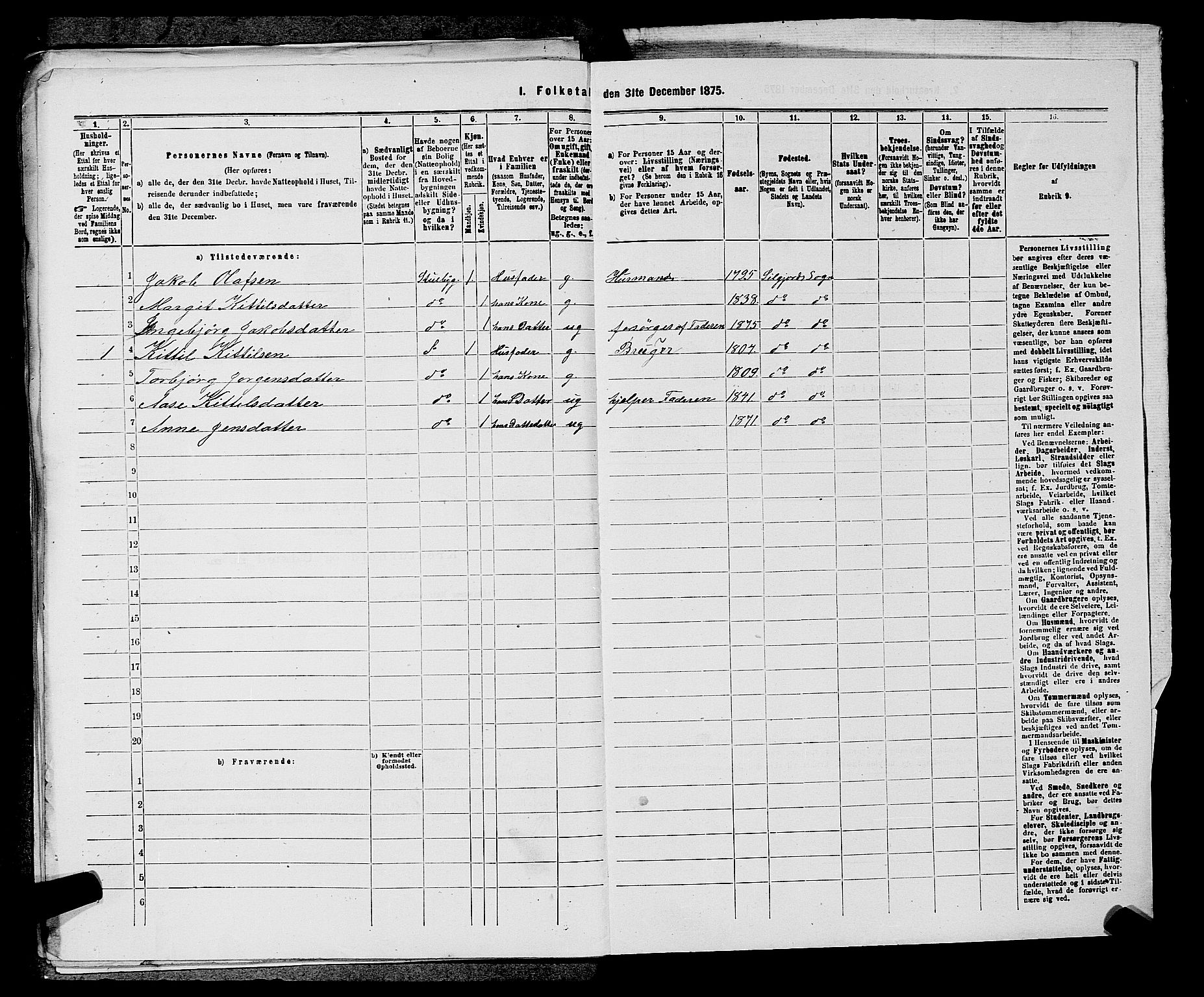 SAKO, 1875 census for 0828P Seljord, 1875, p. 813