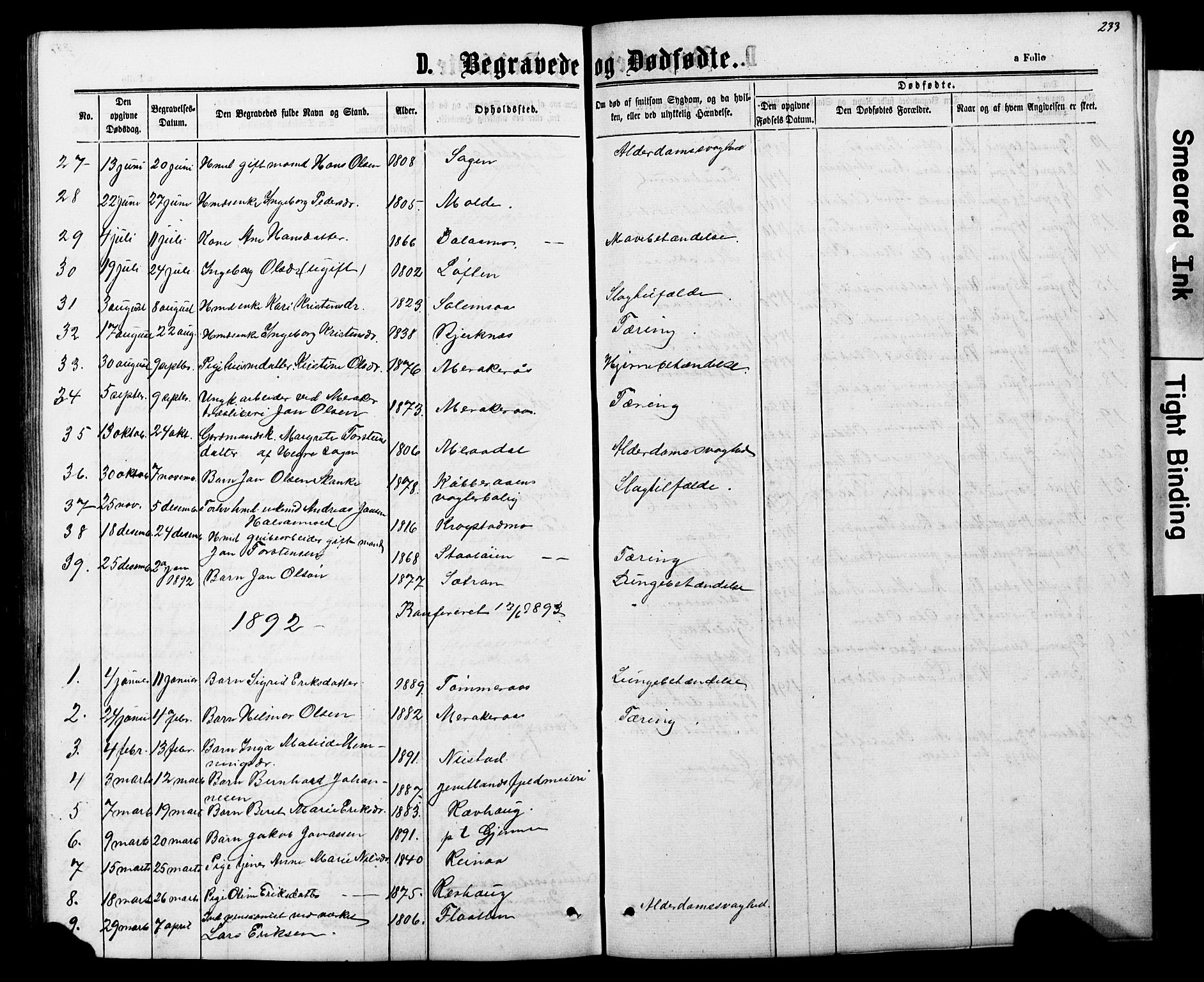 Ministerialprotokoller, klokkerbøker og fødselsregistre - Nord-Trøndelag, AV/SAT-A-1458/706/L0049: Parish register (copy) no. 706C01, 1864-1895, p. 233