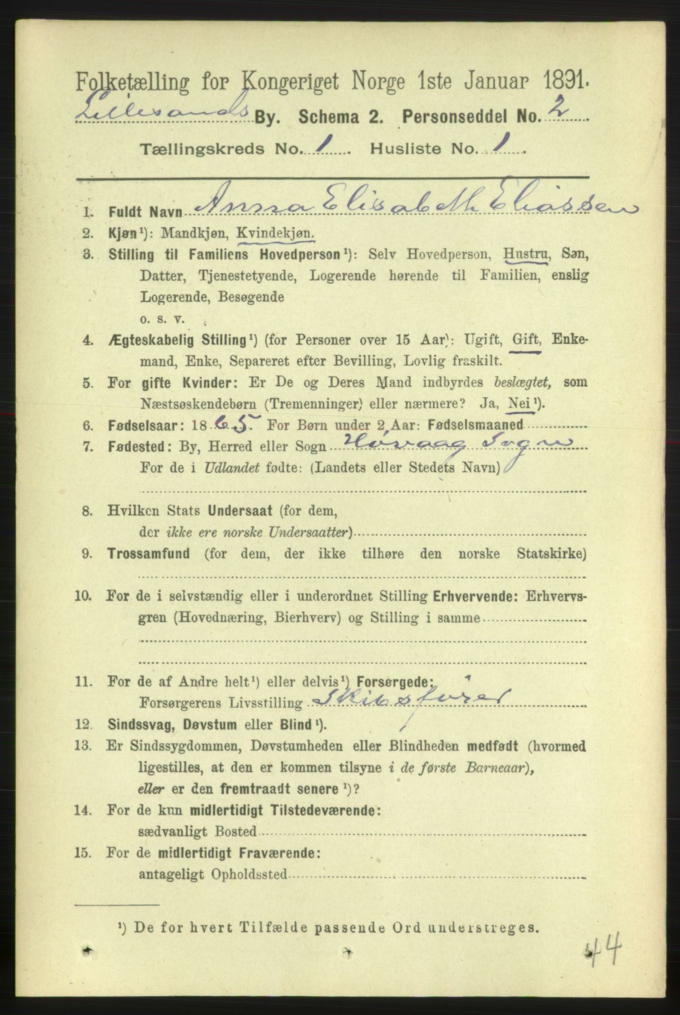 RA, 1891 census for 0905 Lillesand, 1891, p. 19