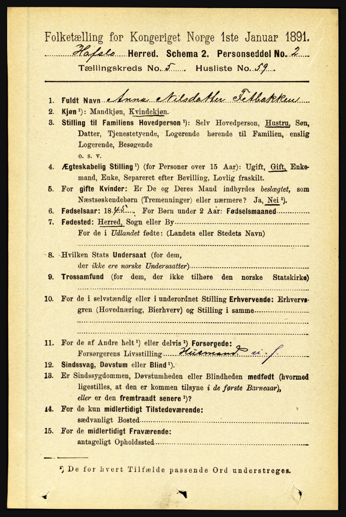 RA, 1891 census for 1425 Hafslo, 1891, p. 2263