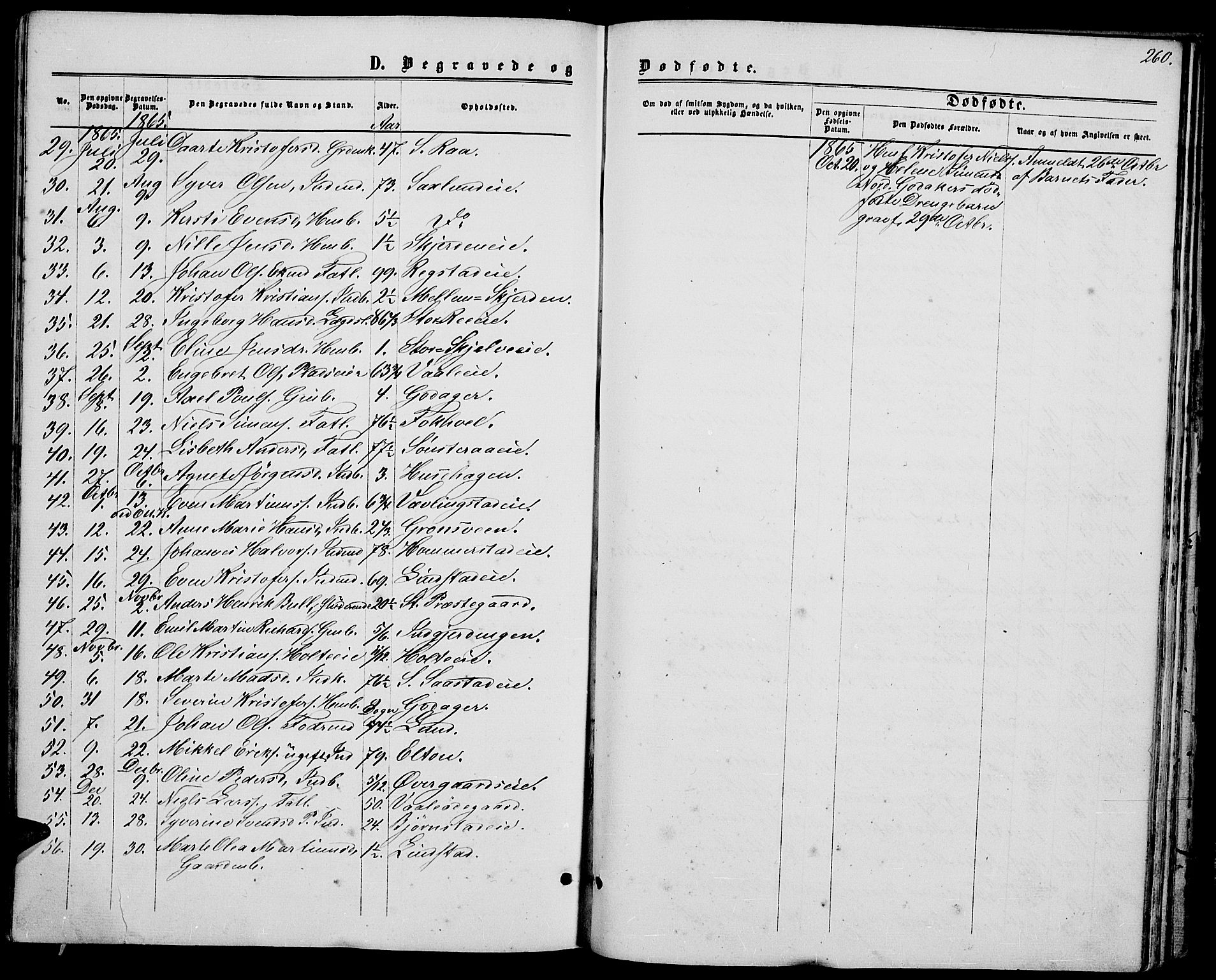 Stange prestekontor, SAH/PREST-002/L/L0006: Parish register (copy) no. 6, 1864-1882, p. 260