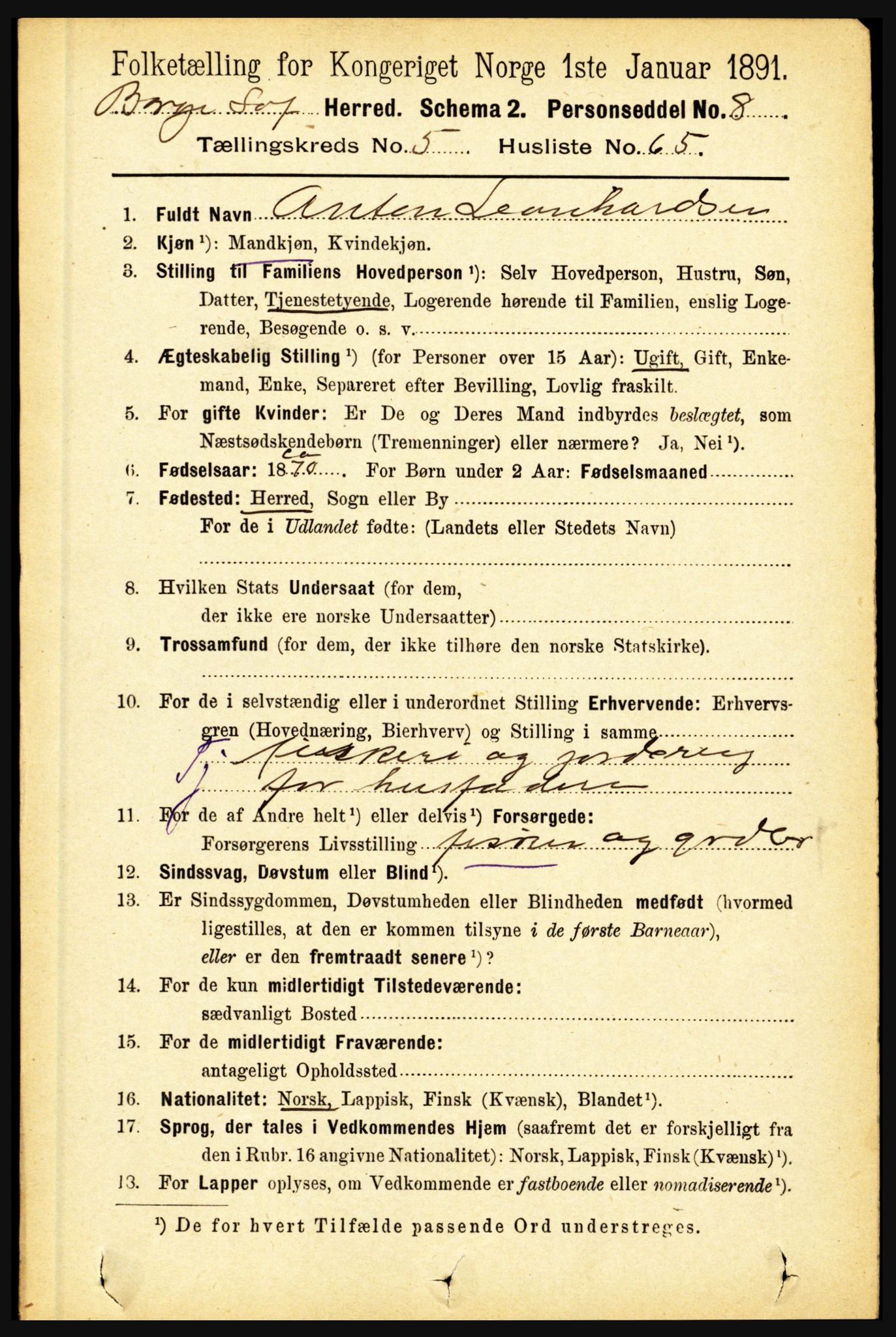 RA, 1891 census for 1862 Borge, 1891, p. 3453