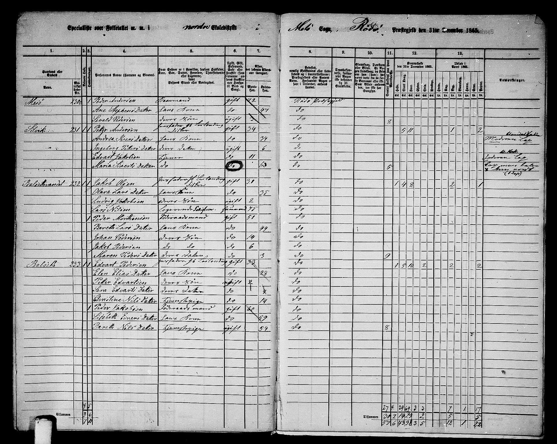 RA, 1865 census for Rødøy, 1865, p. 161