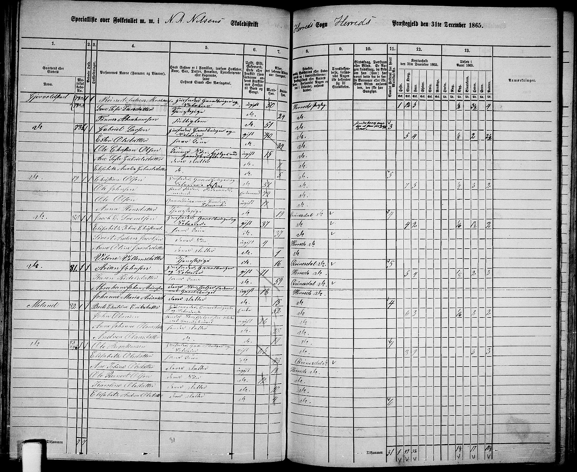 RA, 1865 census for Herad, 1865, p. 35