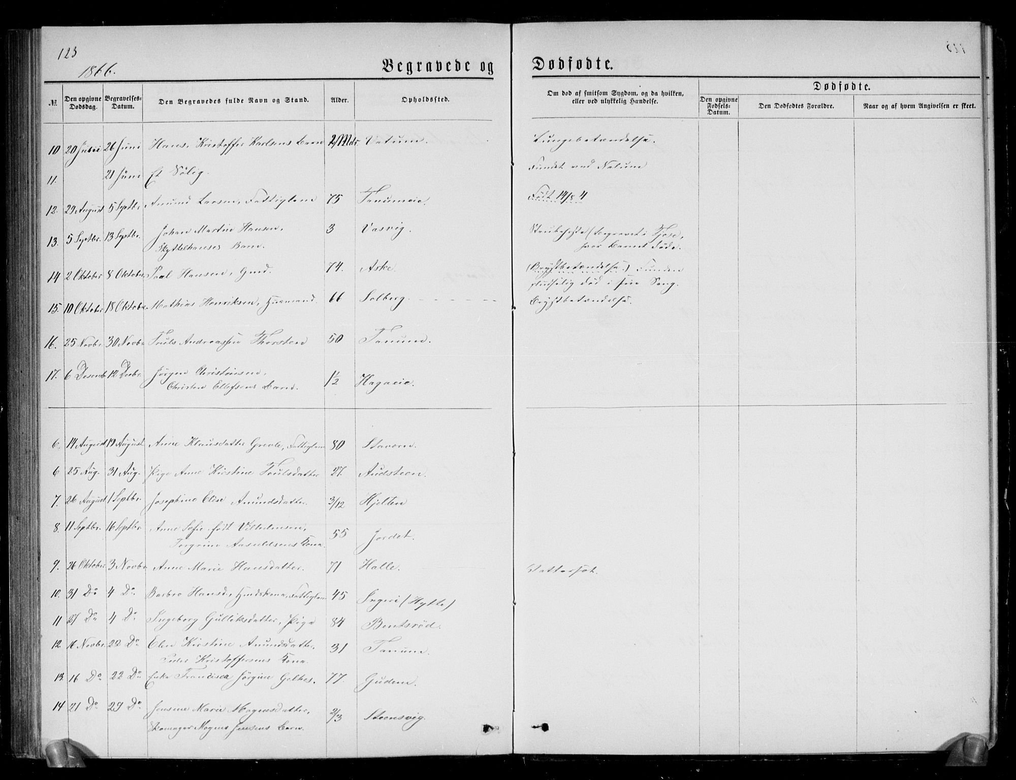 Brunlanes kirkebøker, SAKO/A-342/G/Ga/L0002: Parish register (copy) no. I 2, 1866-1876, p. 123