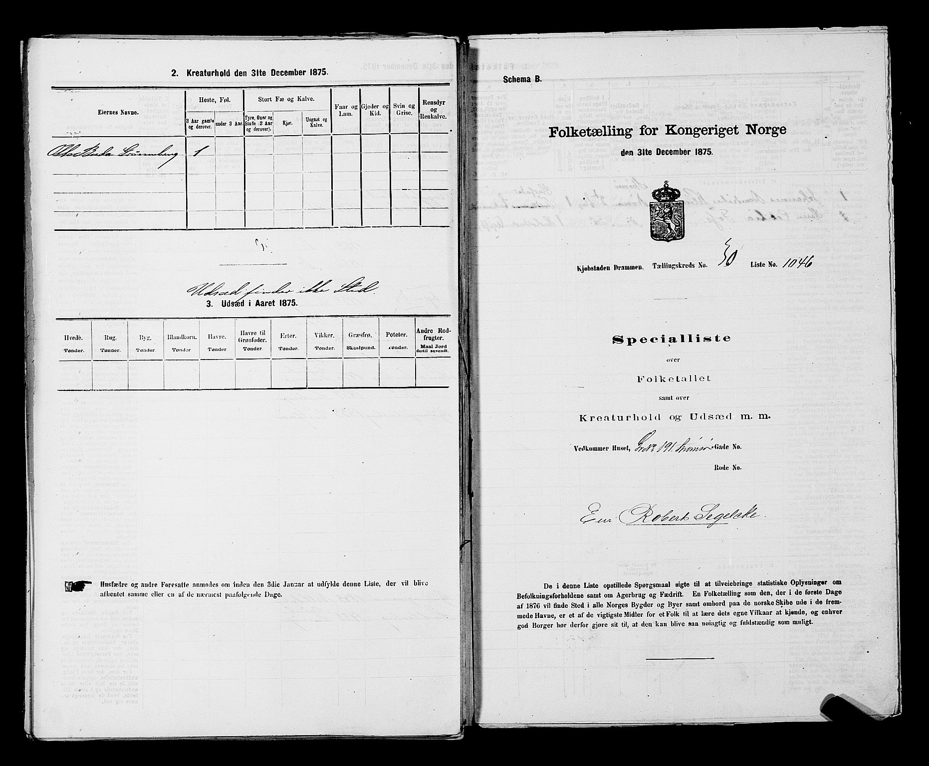 SAKO, 1875 census for 0602 Drammen, 1875, p. 2843