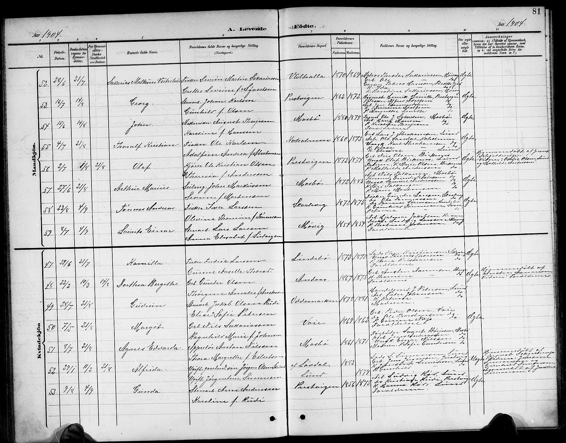 Oddernes sokneprestkontor, AV/SAK-1111-0033/F/Fb/Fba/L0009: Parish register (copy) no. B 9, 1899-1923, p. 81