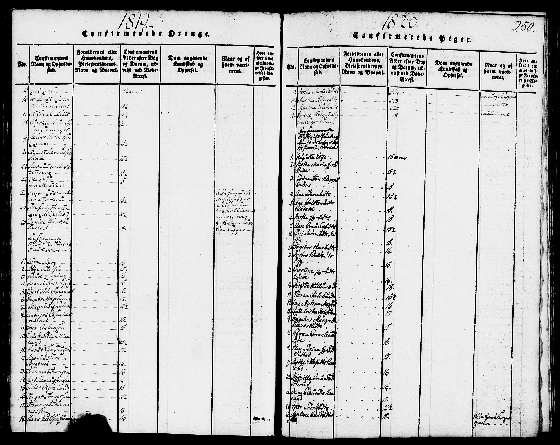 Domkirken sokneprestkontor, AV/SAST-A-101812/001/30/30BB/L0008: Parish register (copy) no. B 8, 1816-1821, p. 250