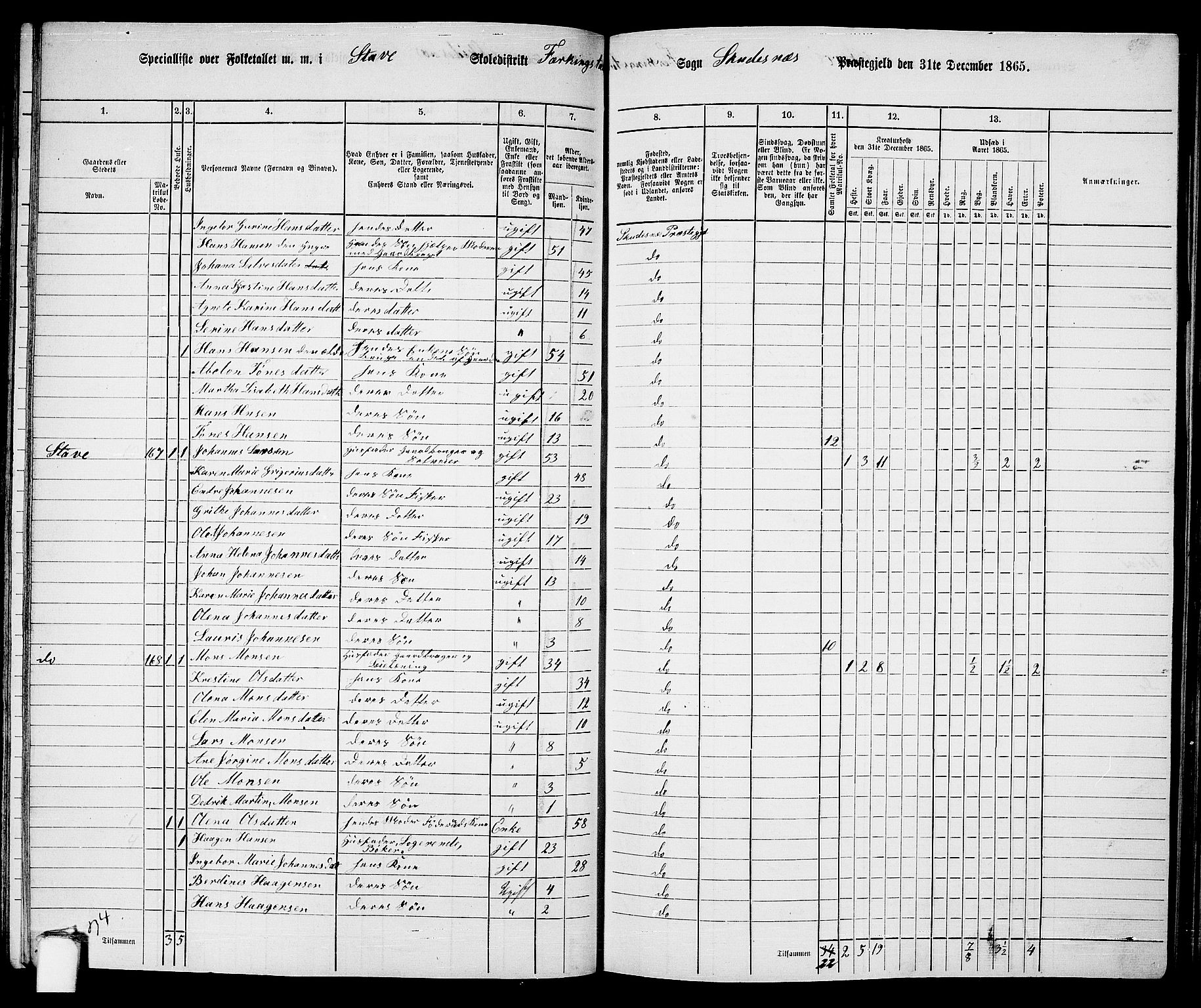 RA, 1865 census for Skudenes, 1865, p. 91