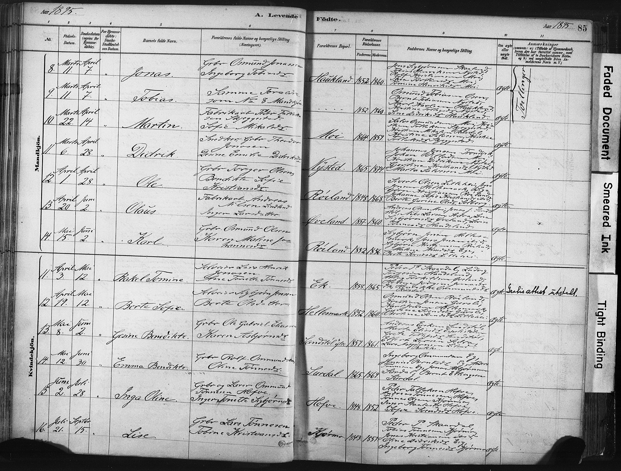 Lund sokneprestkontor, SAST/A-101809/S06/L0011: Parish register (official) no. A 10, 1877-1904, p. 85