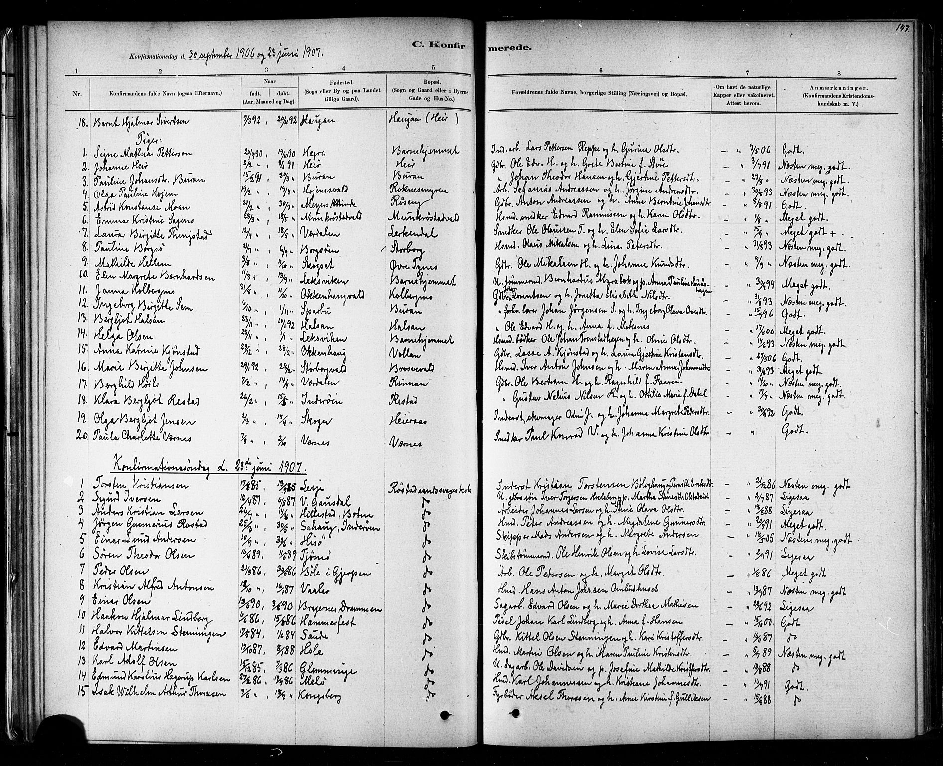 Ministerialprotokoller, klokkerbøker og fødselsregistre - Nord-Trøndelag, SAT/A-1458/721/L0208: Parish register (copy) no. 721C01, 1880-1917, p. 147