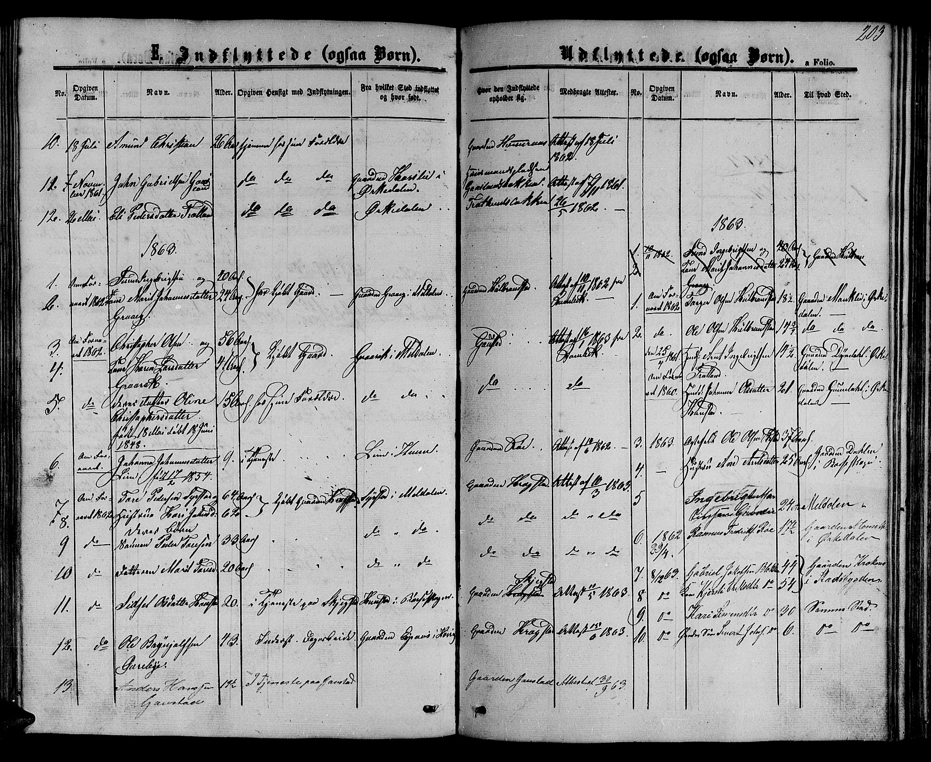 Ministerialprotokoller, klokkerbøker og fødselsregistre - Sør-Trøndelag, SAT/A-1456/694/L1131: Parish register (copy) no. 694C03, 1858-1886, p. 203