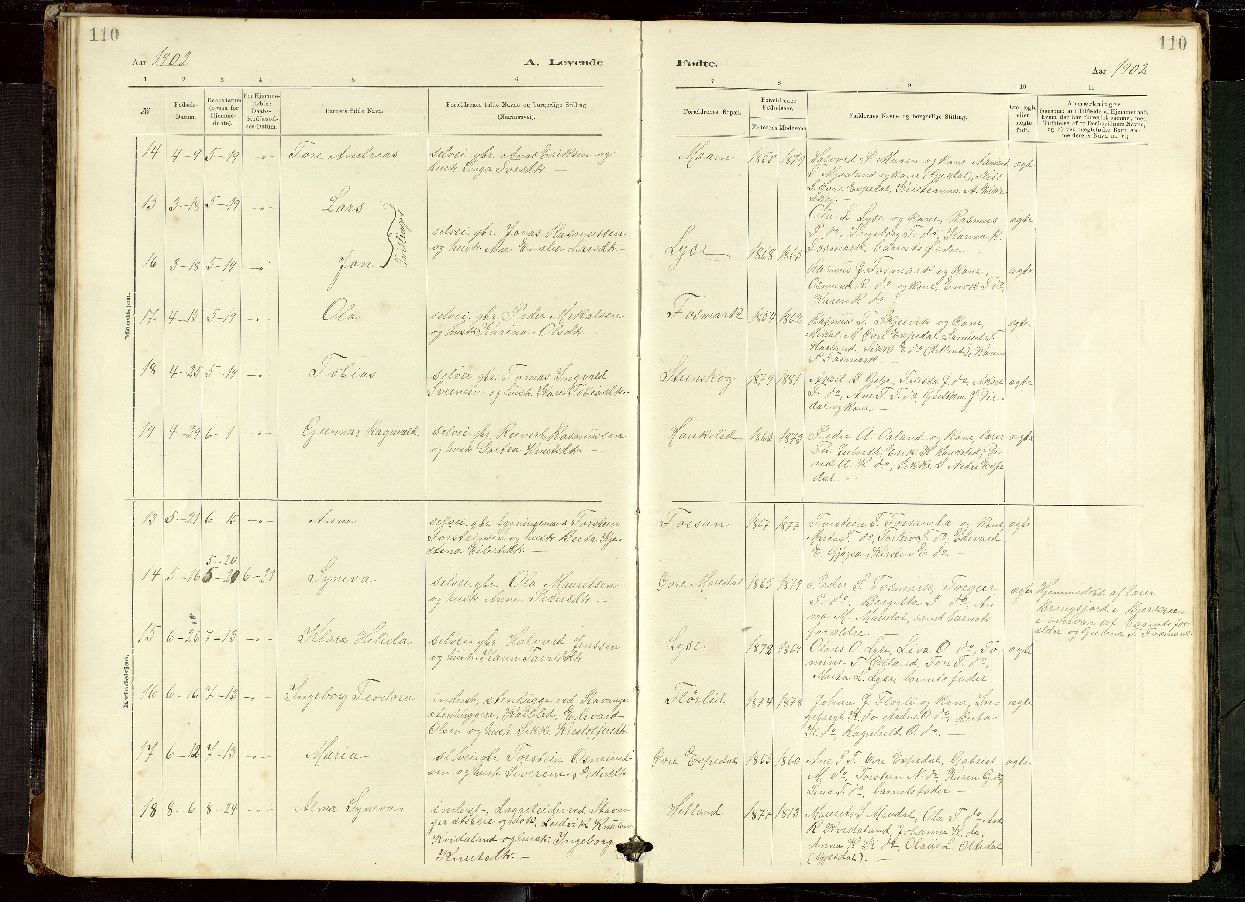 Høgsfjord sokneprestkontor, AV/SAST-A-101624/H/Ha/Hab/L0009: Parish register (copy) no. B 9, 1883-1920, p. 110