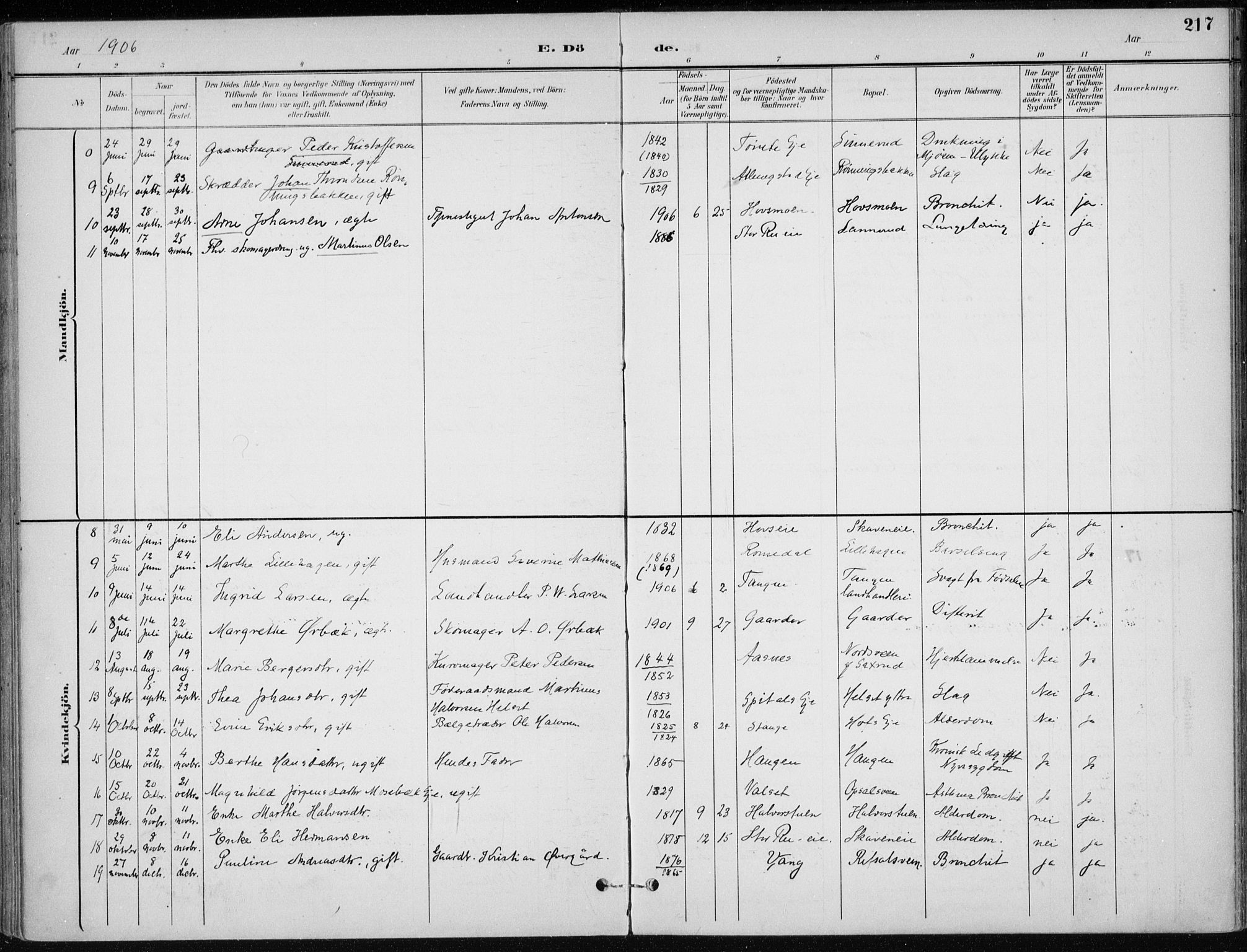 Stange prestekontor, AV/SAH-PREST-002/K/L0023: Parish register (official) no. 23, 1897-1920, p. 217