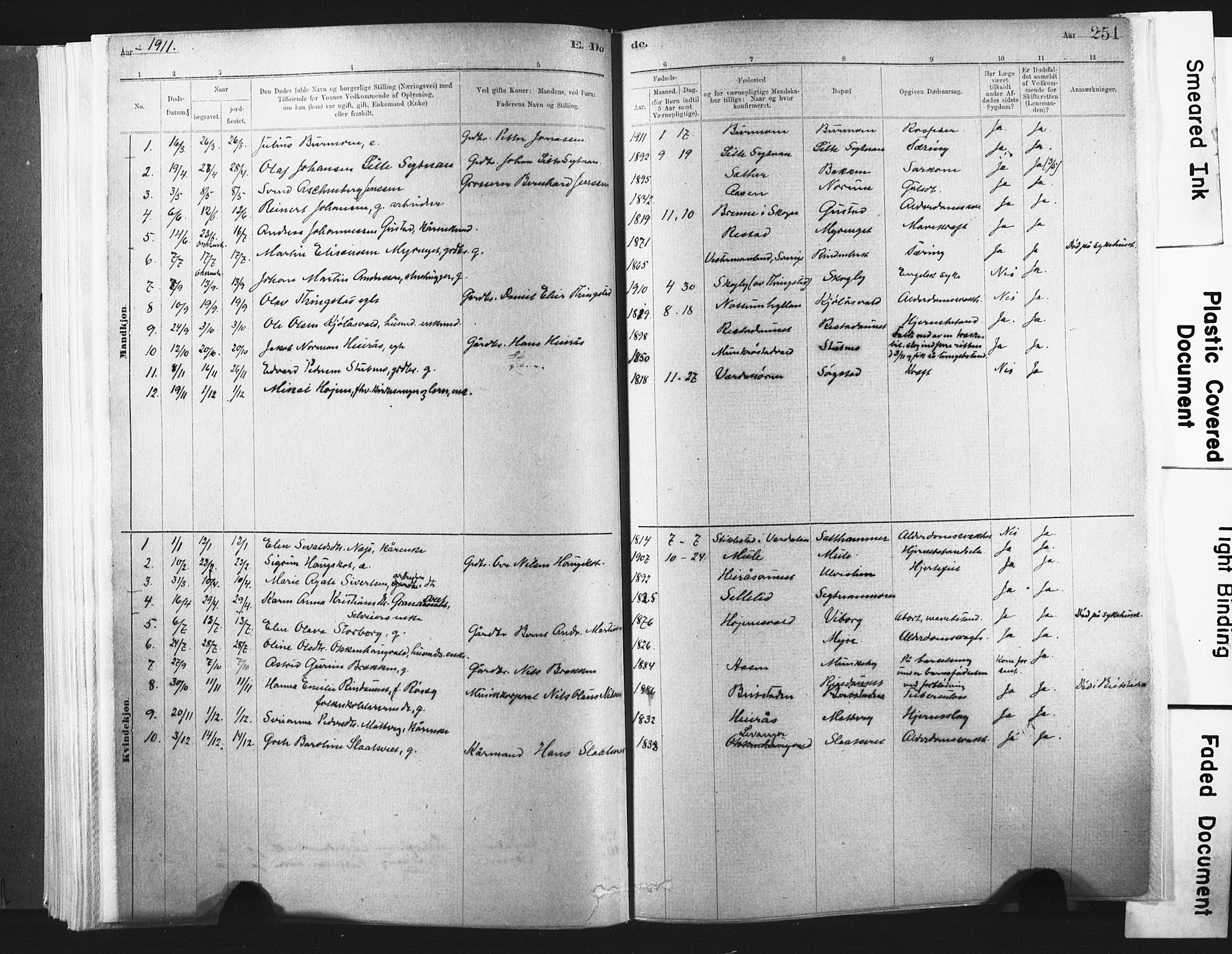 Ministerialprotokoller, klokkerbøker og fødselsregistre - Nord-Trøndelag, SAT/A-1458/721/L0207: Parish register (official) no. 721A02, 1880-1911, p. 251