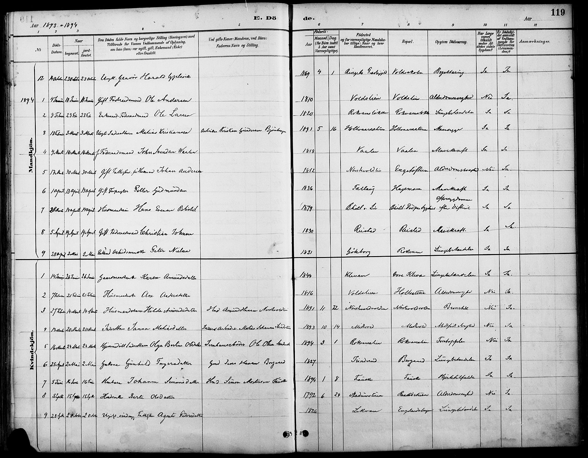 Østre Gausdal prestekontor, AV/SAH-PREST-092/H/Ha/Haa/L0002: Parish register (official) no. 2, 1887-1897, p. 119