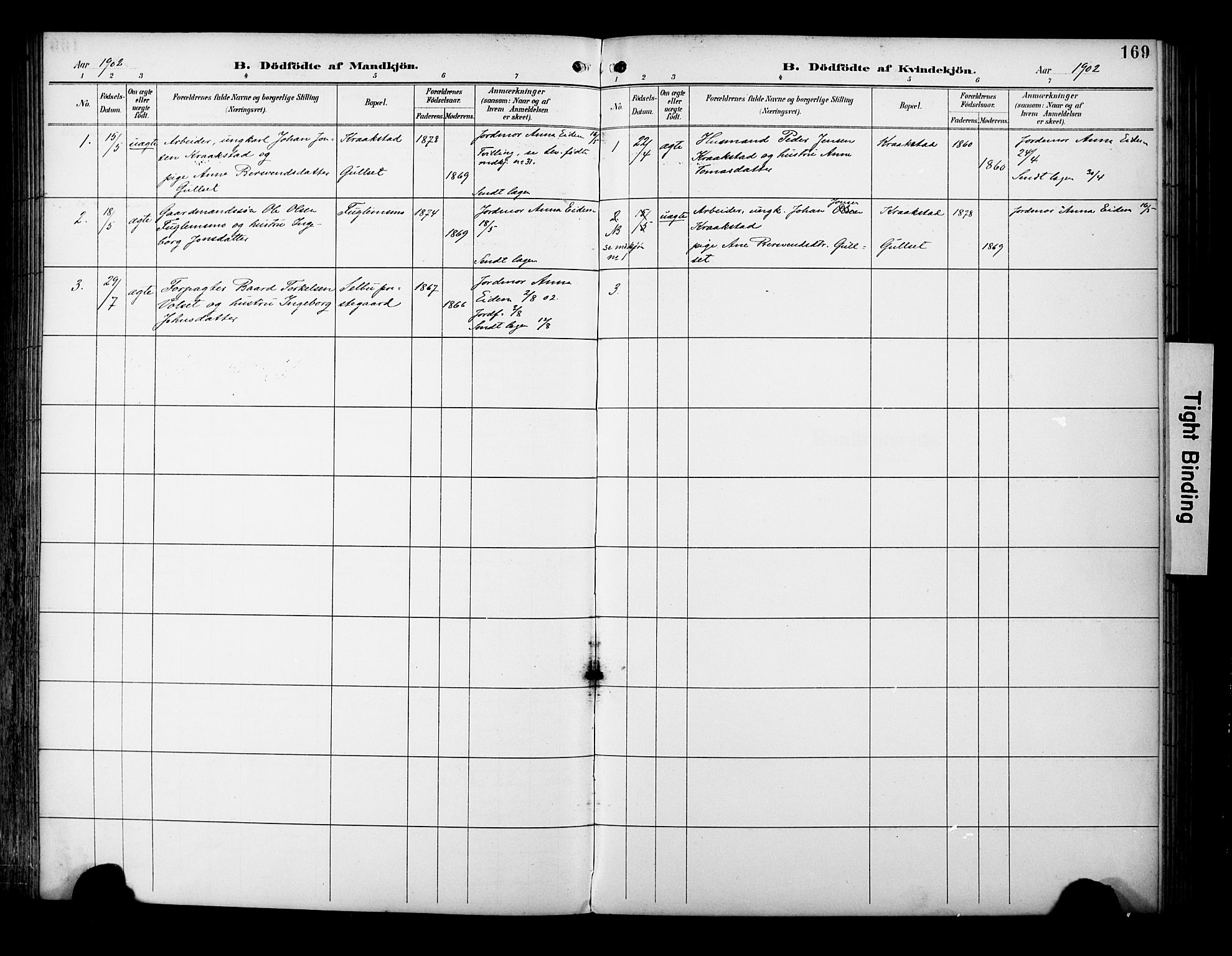 Ministerialprotokoller, klokkerbøker og fødselsregistre - Sør-Trøndelag, SAT/A-1456/695/L1149: Parish register (official) no. 695A09, 1891-1902, p. 169