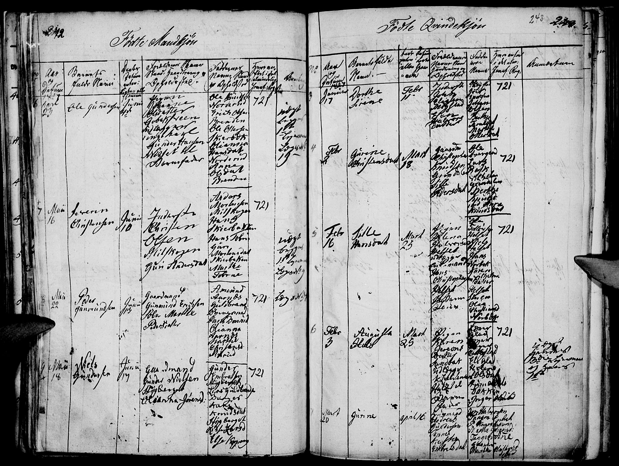 Elverum prestekontor, SAH/PREST-044/H/Ha/Haa/L0007: Parish register (official) no. 7, 1815-1830, p. 242-243