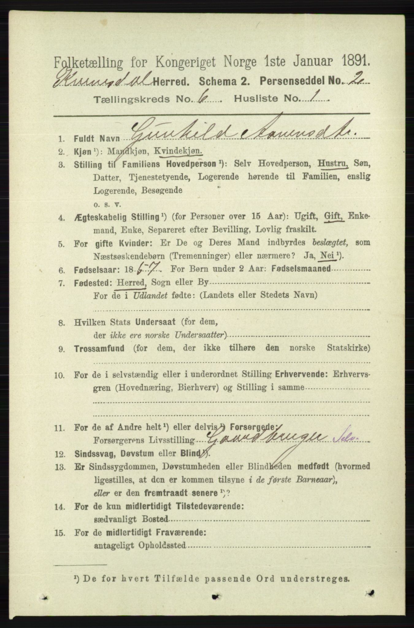 RA, 1891 census for 1037 Kvinesdal, 1891, p. 2104