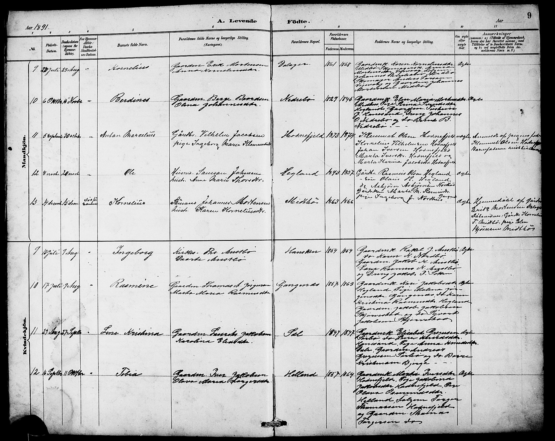 Rennesøy sokneprestkontor, AV/SAST-A -101827/H/Ha/Hab/L0010: Parish register (copy) no. B 9, 1890-1918, p. 9