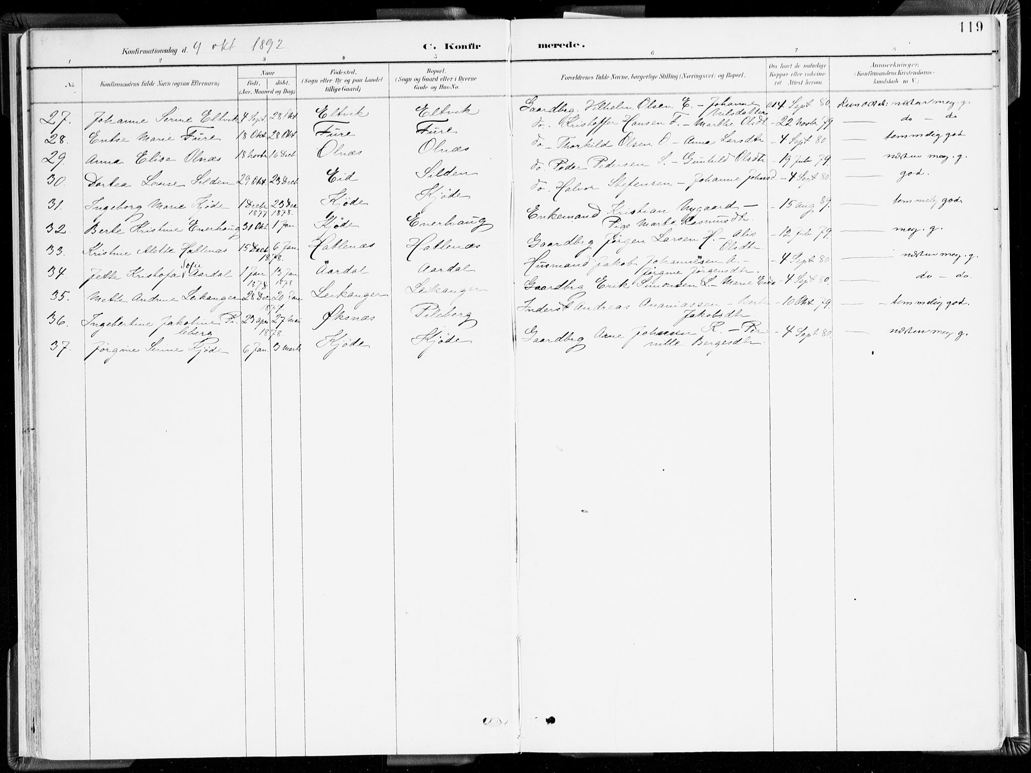 Selje sokneprestembete, AV/SAB-A-99938/H/Ha/Haa/Haab: Parish register (official) no. B 2, 1891-1907, p. 119