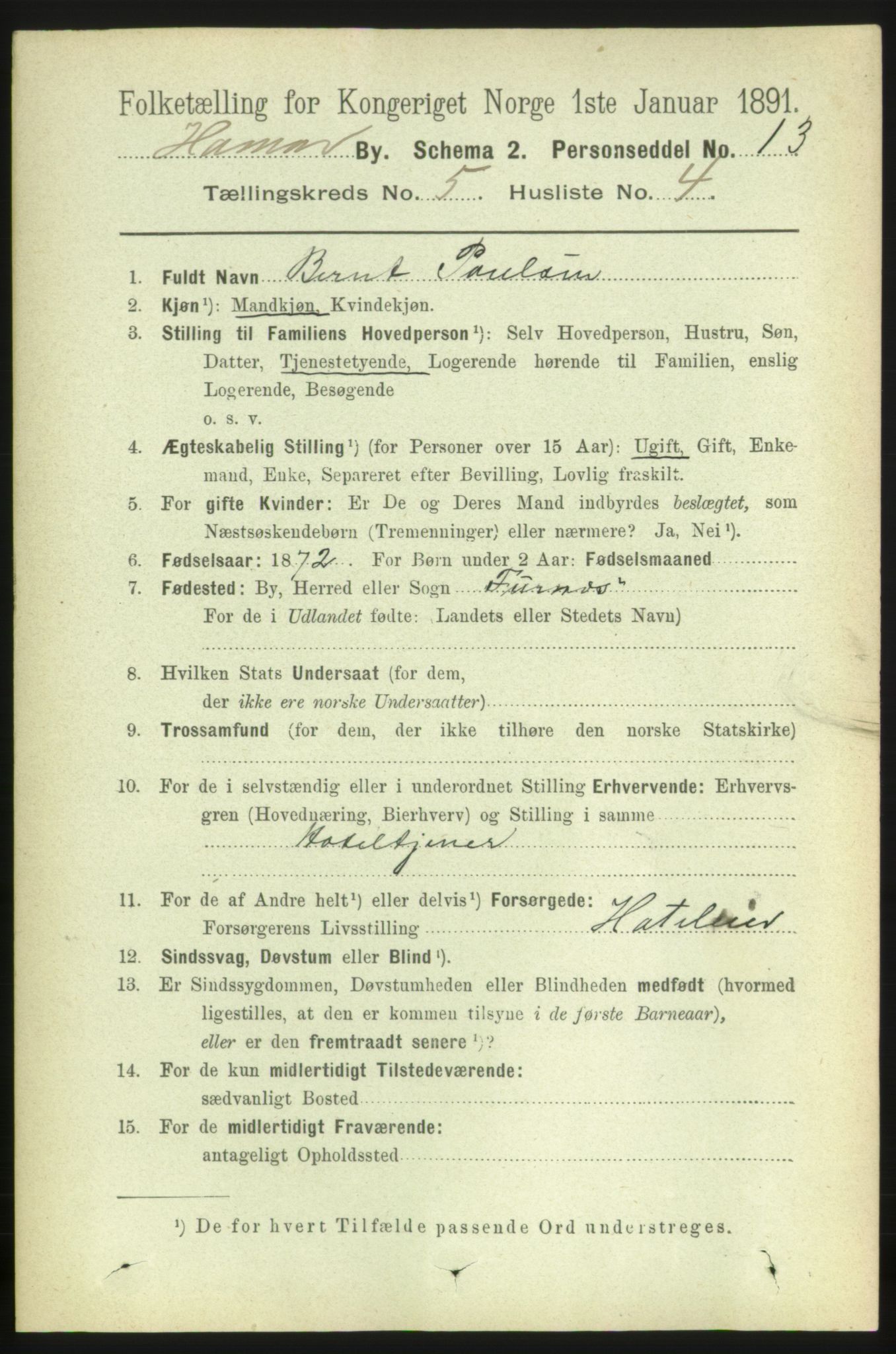 RA, 1891 census for 0401 Hamar, 1891, p. 3747