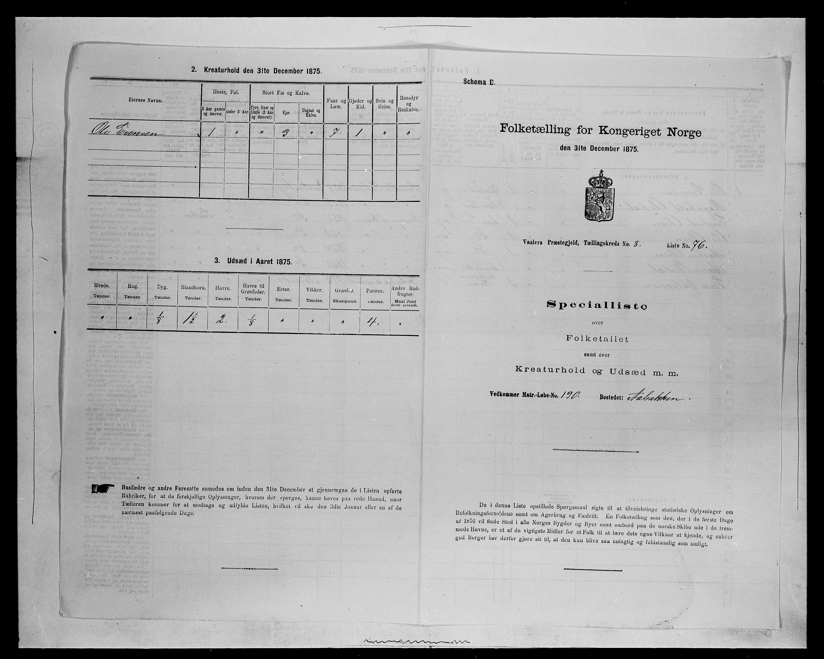 SAH, 1875 census for 0426P Våler parish (Hedmark), 1875, p. 1175