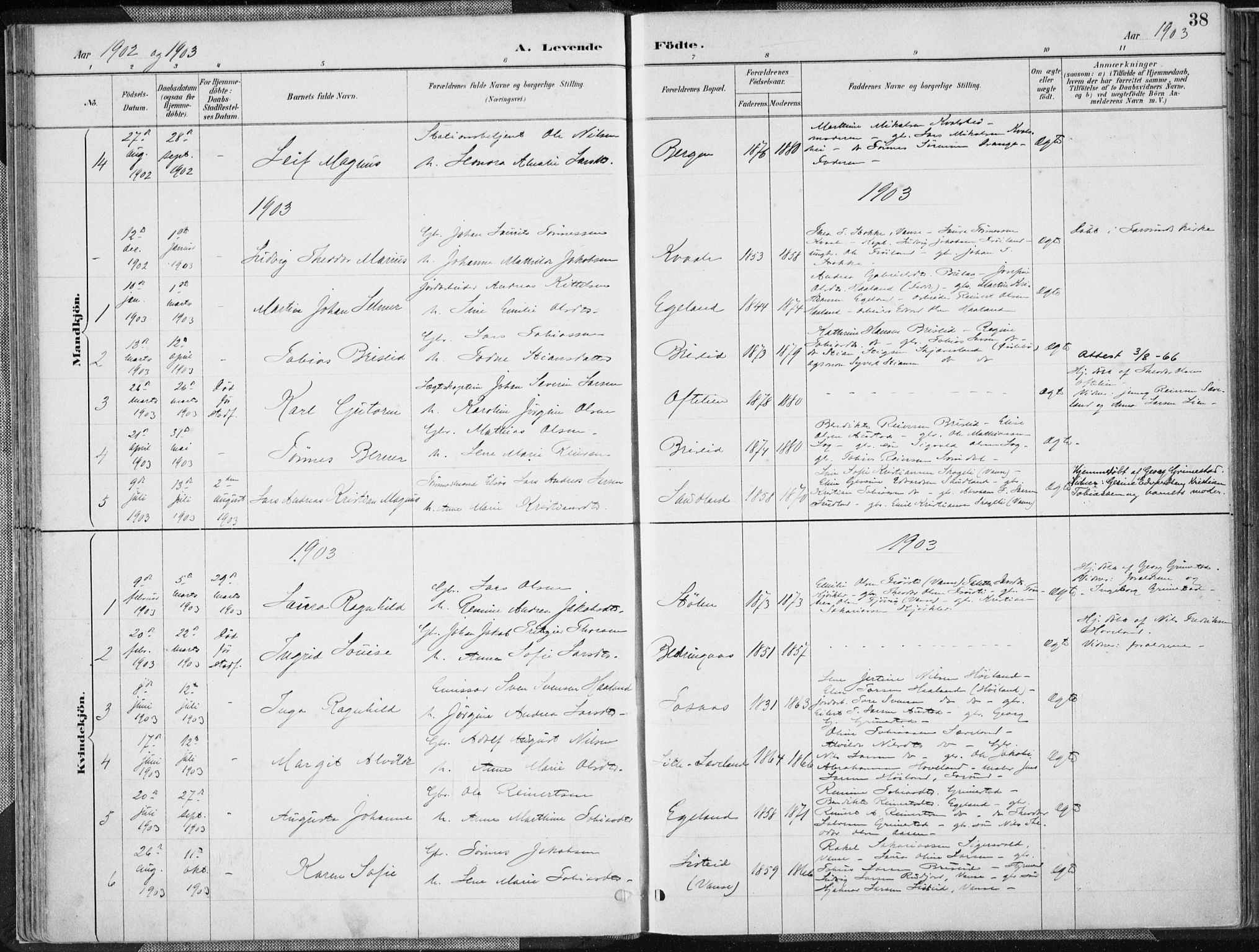 Herad sokneprestkontor, SAK/1111-0018/F/Fa/Faa/L0006: Parish register (official) no. A 6, 1887-1907, p. 38