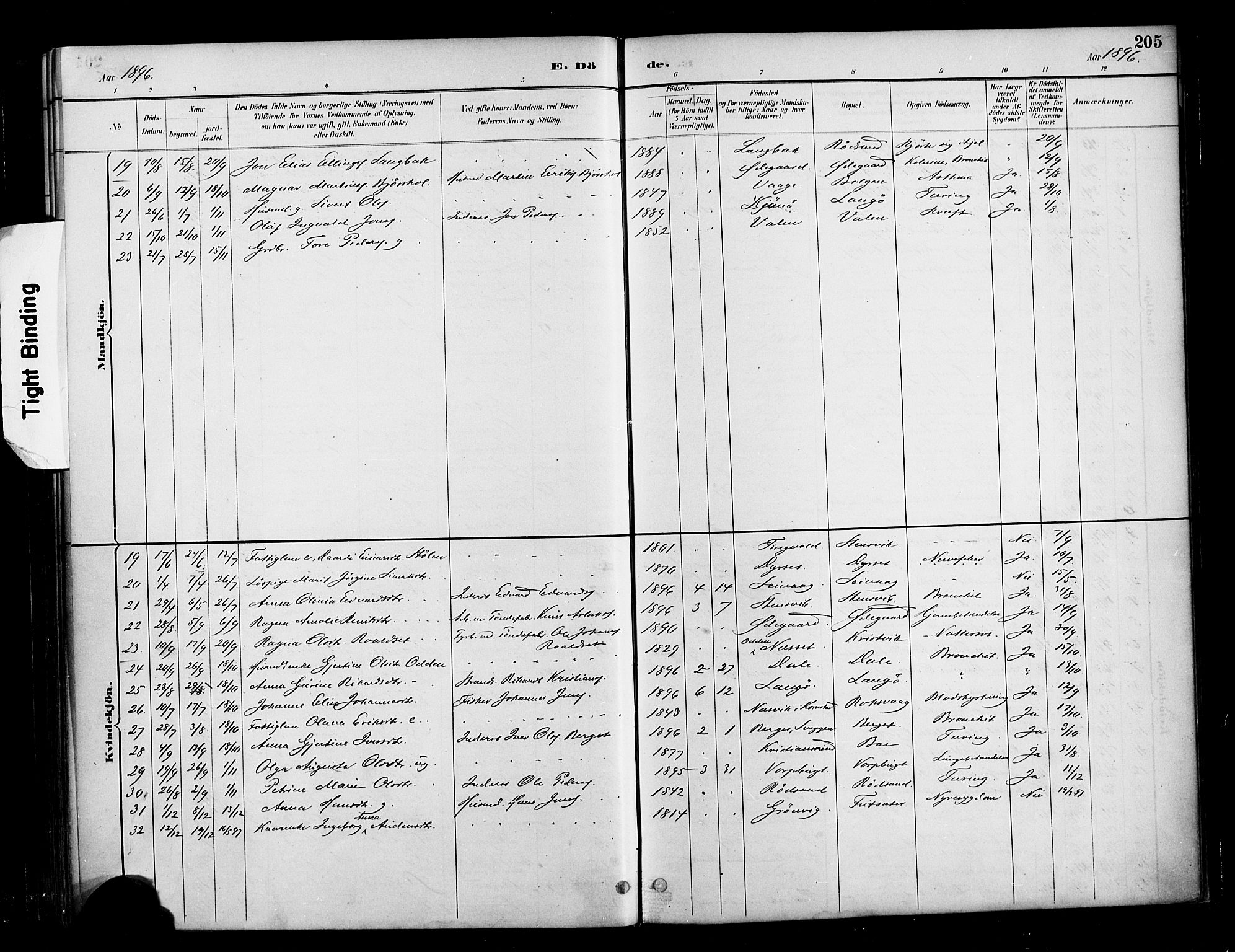 Ministerialprotokoller, klokkerbøker og fødselsregistre - Møre og Romsdal, AV/SAT-A-1454/569/L0819: Parish register (official) no. 569A05, 1885-1899, p. 205