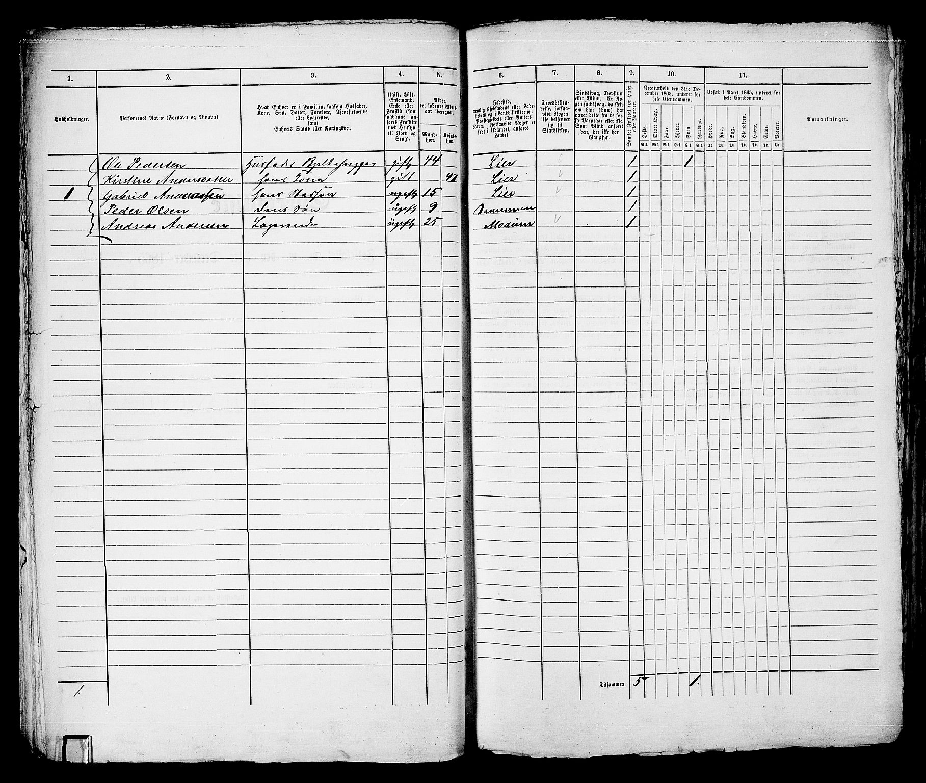 RA, 1865 census for Bragernes in Drammen, 1865, p. 96