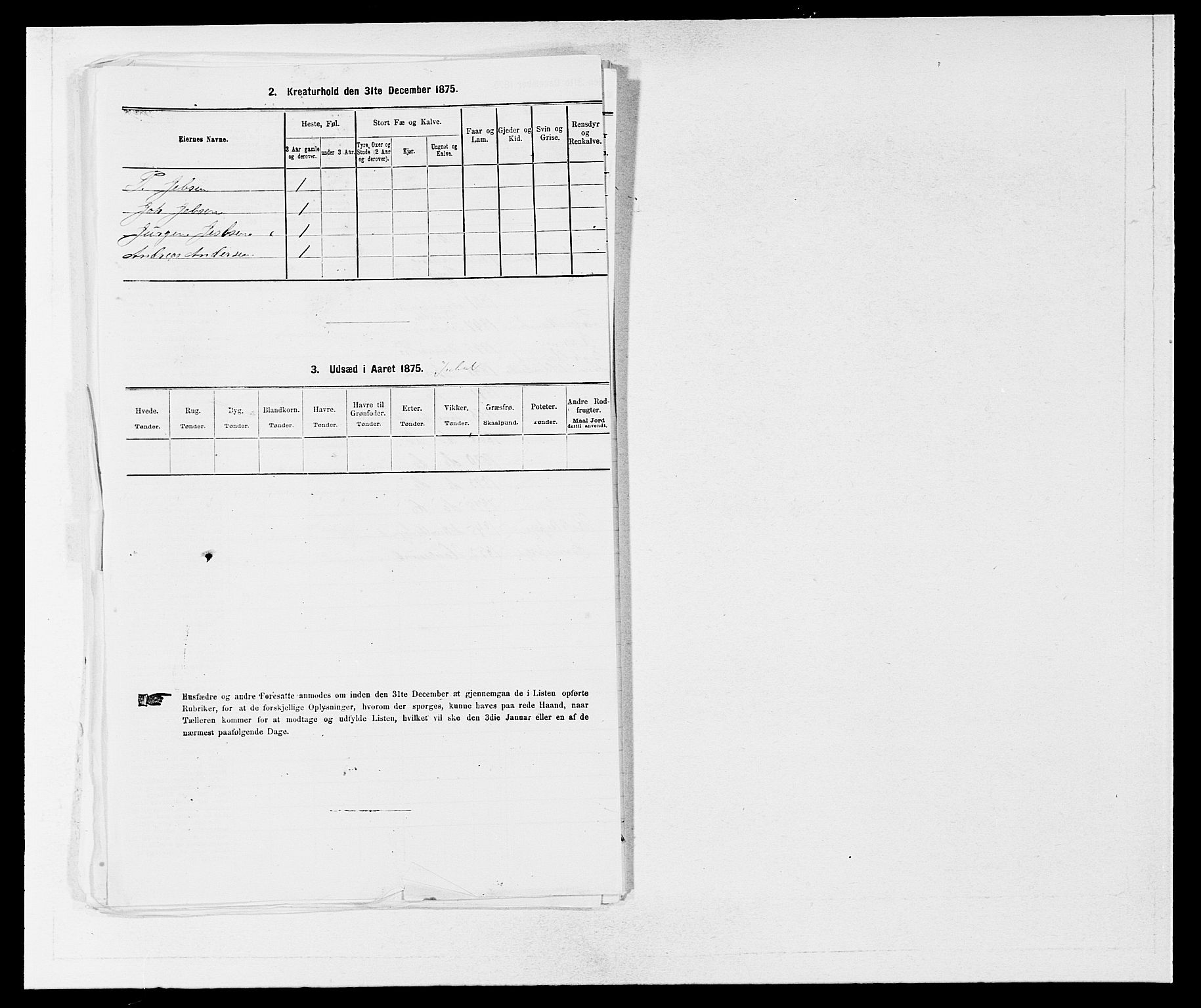 SAB, 1875 census for 1250P Haus, 1875, p. 862