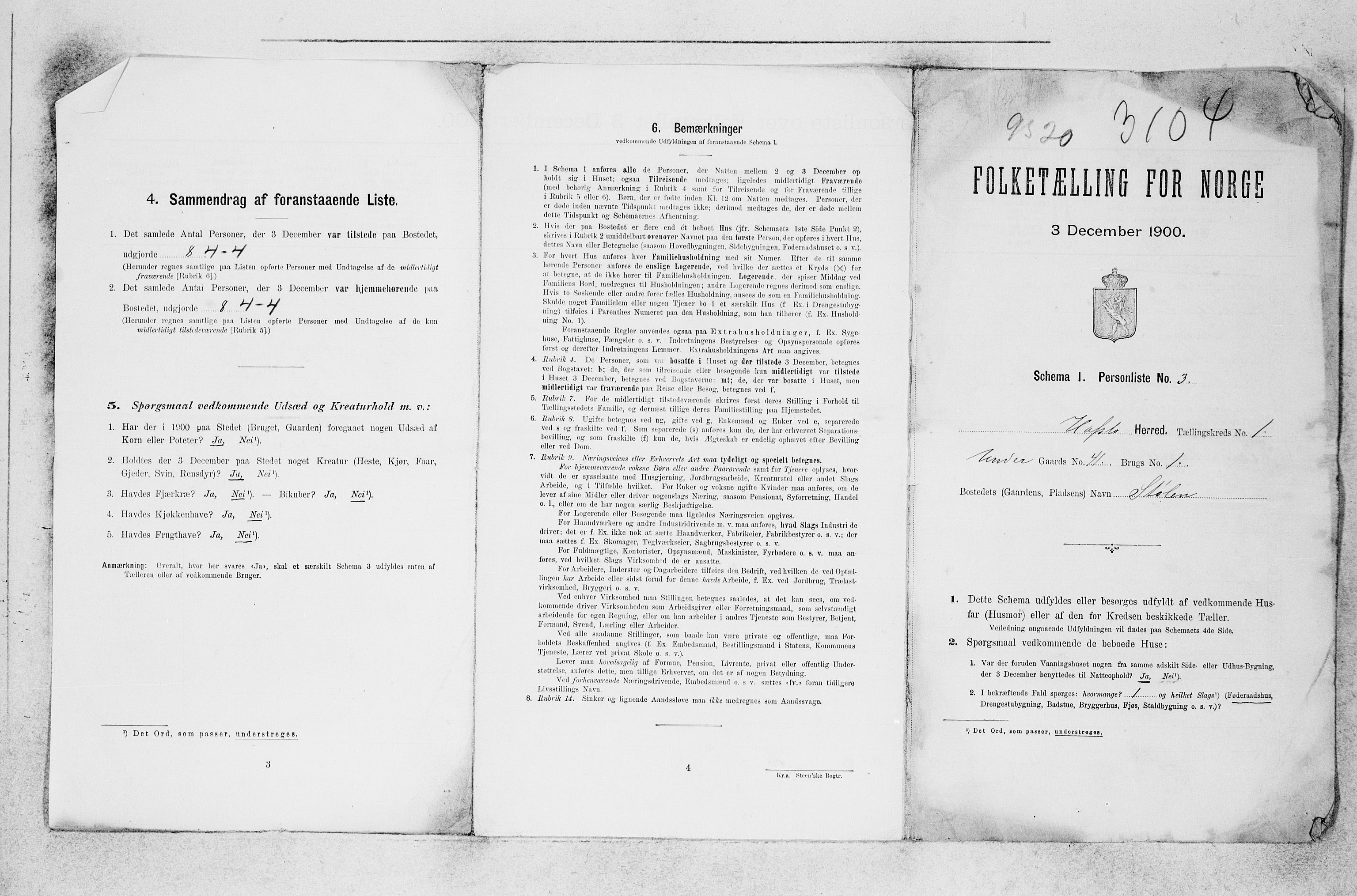 SAB, 1900 census for Hafslo, 1900, p. 22