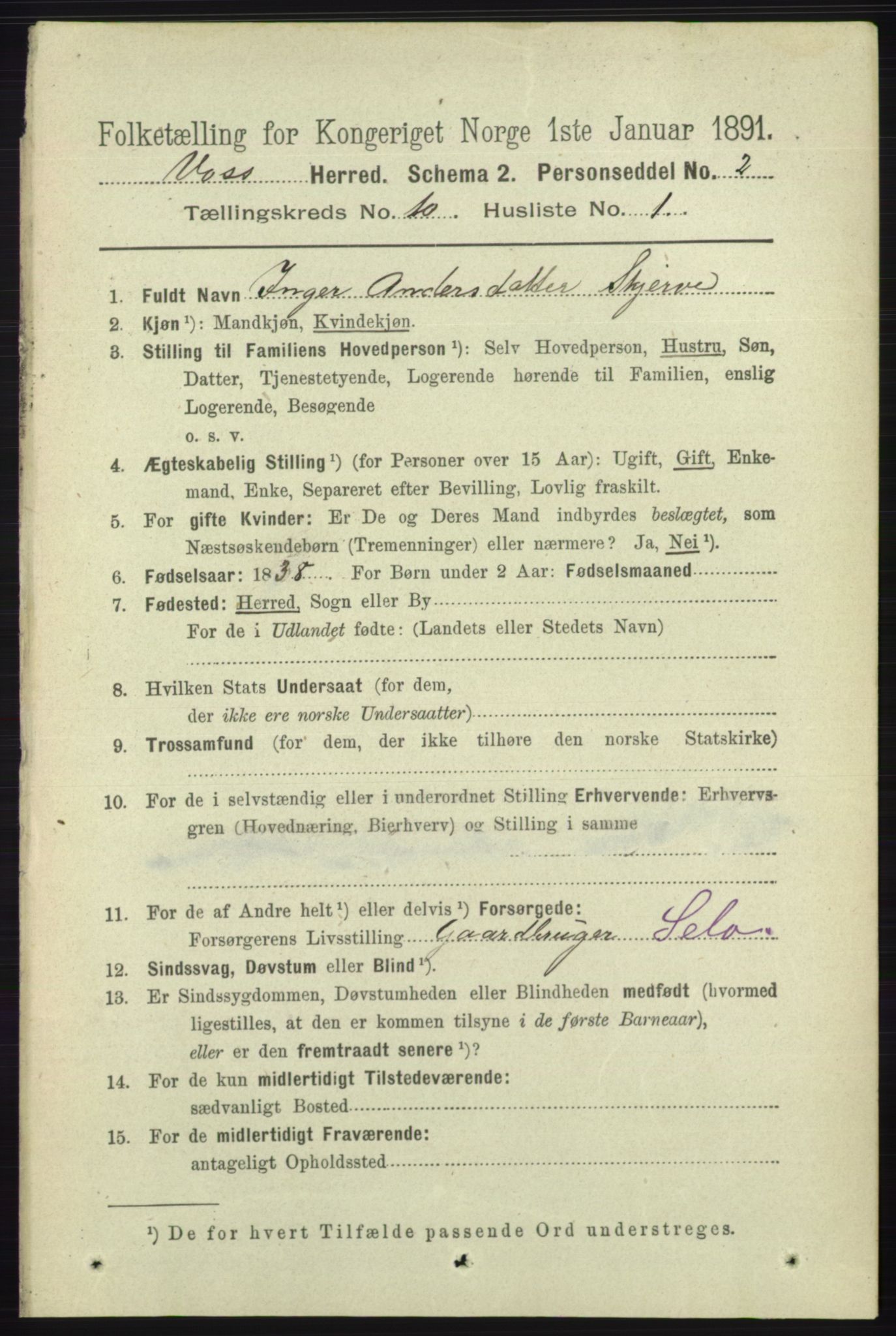 RA, 1891 census for 1235 Voss, 1891, p. 5211